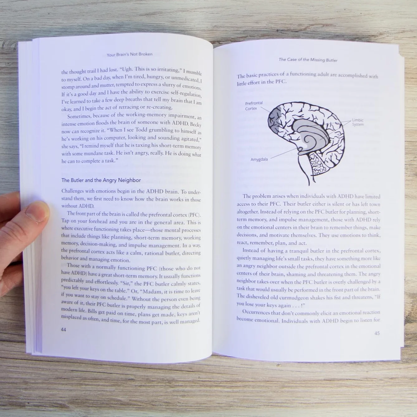 Your Brain's Not Broken: Strategies for Navigating Your Emotions and Life with ADHD