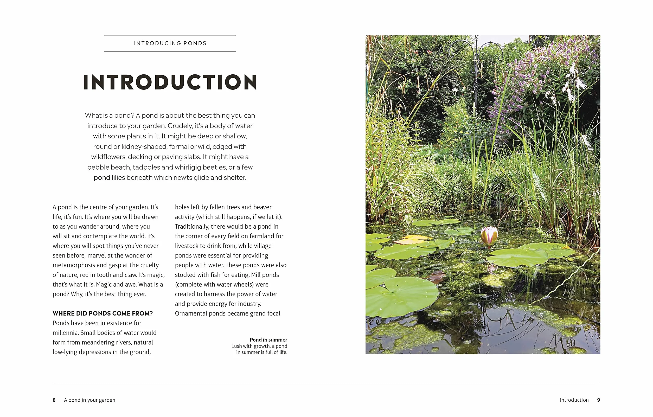 RHS How to Create a Wildlife Pond: Plan, Dig, and Enjoy a Natural Pond in Your Own Back Garden