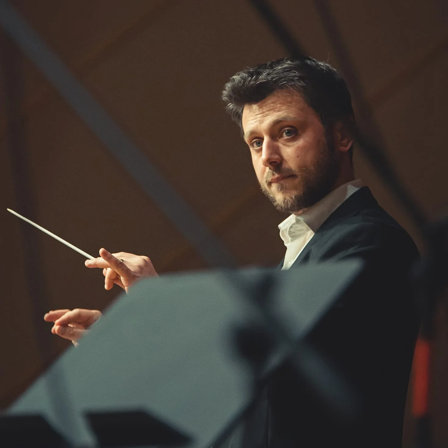 Batuta Dyrygencka z Etui na Batute, 38cm Batuta Koncertowa Batuta Orkiestrowa Dyrygentura Muzyczna z Uchwytem z Palisandru na Orkiestre Koncert Zespól Wykonanie Muzyczne