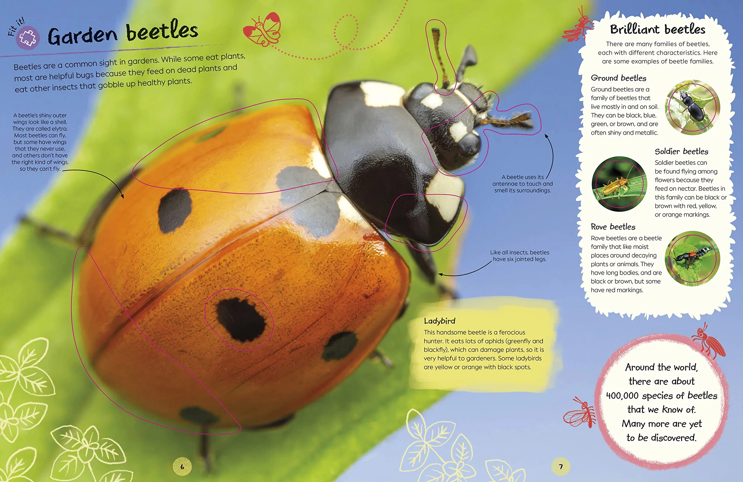 RHS Ultimate Sticker Book Garden Bugs: New Edition with More than 250 Stickers