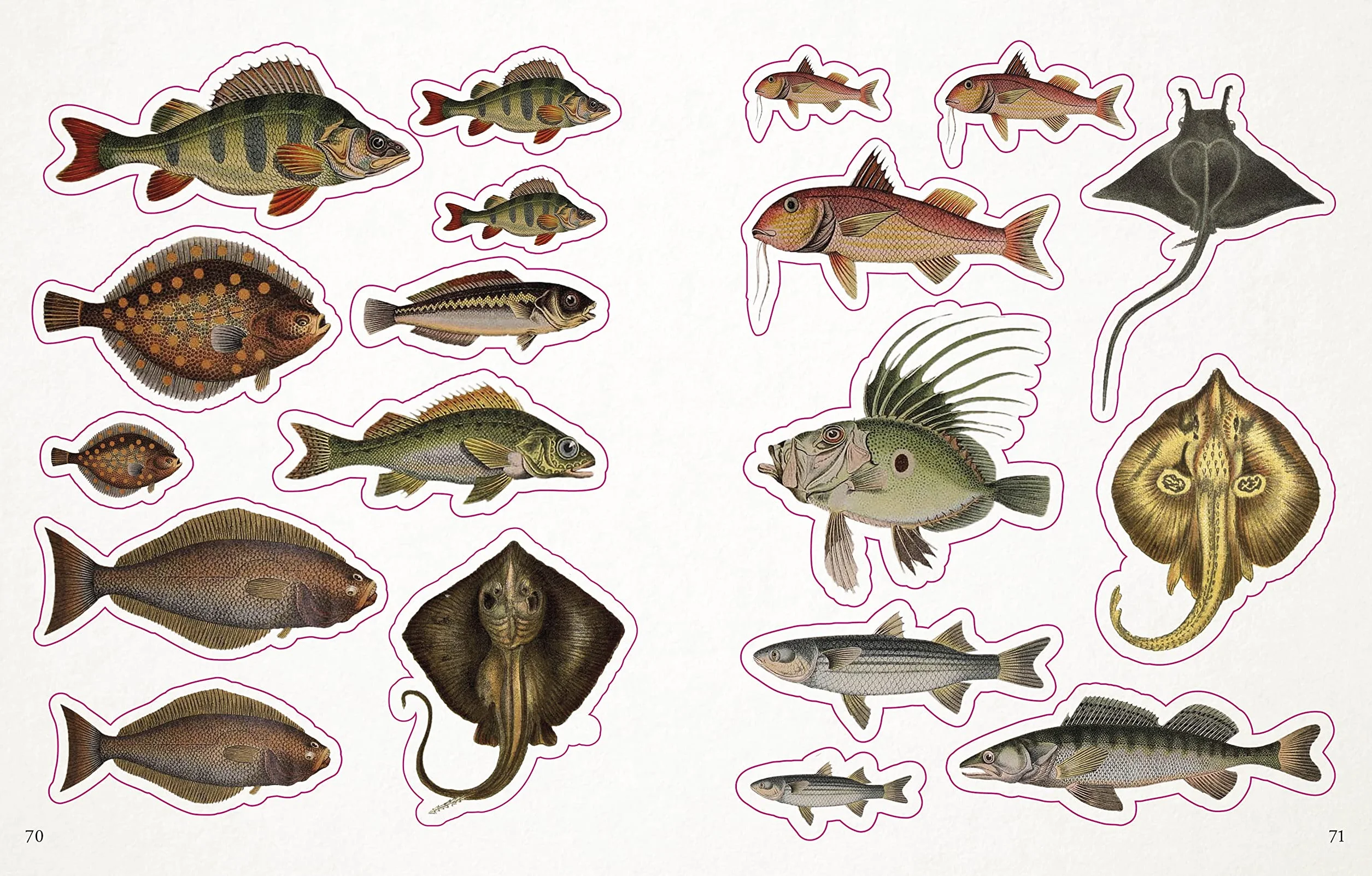 The Seashore Sticker Anthology: With More Than 1,000 Vintage Stickers