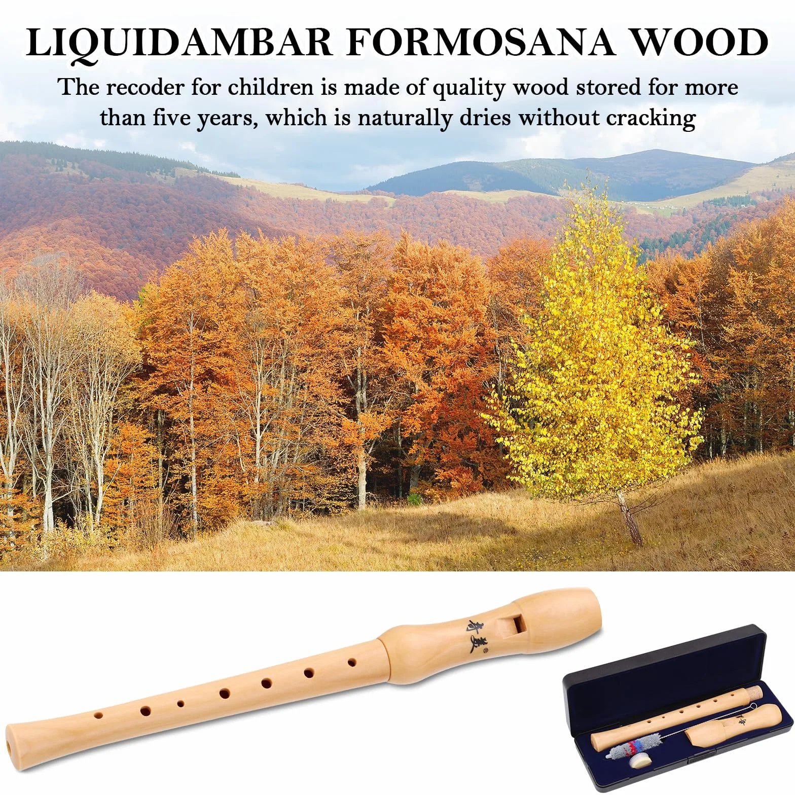 Fentar Drewniany rejestrator, instrument sopranowy, niemiecki palec, rejestrator dla dzieci, dorosłych, początkujących, 2-częściowy design, znakomity 8-otworowy zestaw rejestratorów z pudełkiem do