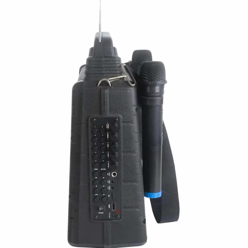Ibiza KARAVISION Przenośny głośnik Karaoke z ekranem i 2x VHF Mics