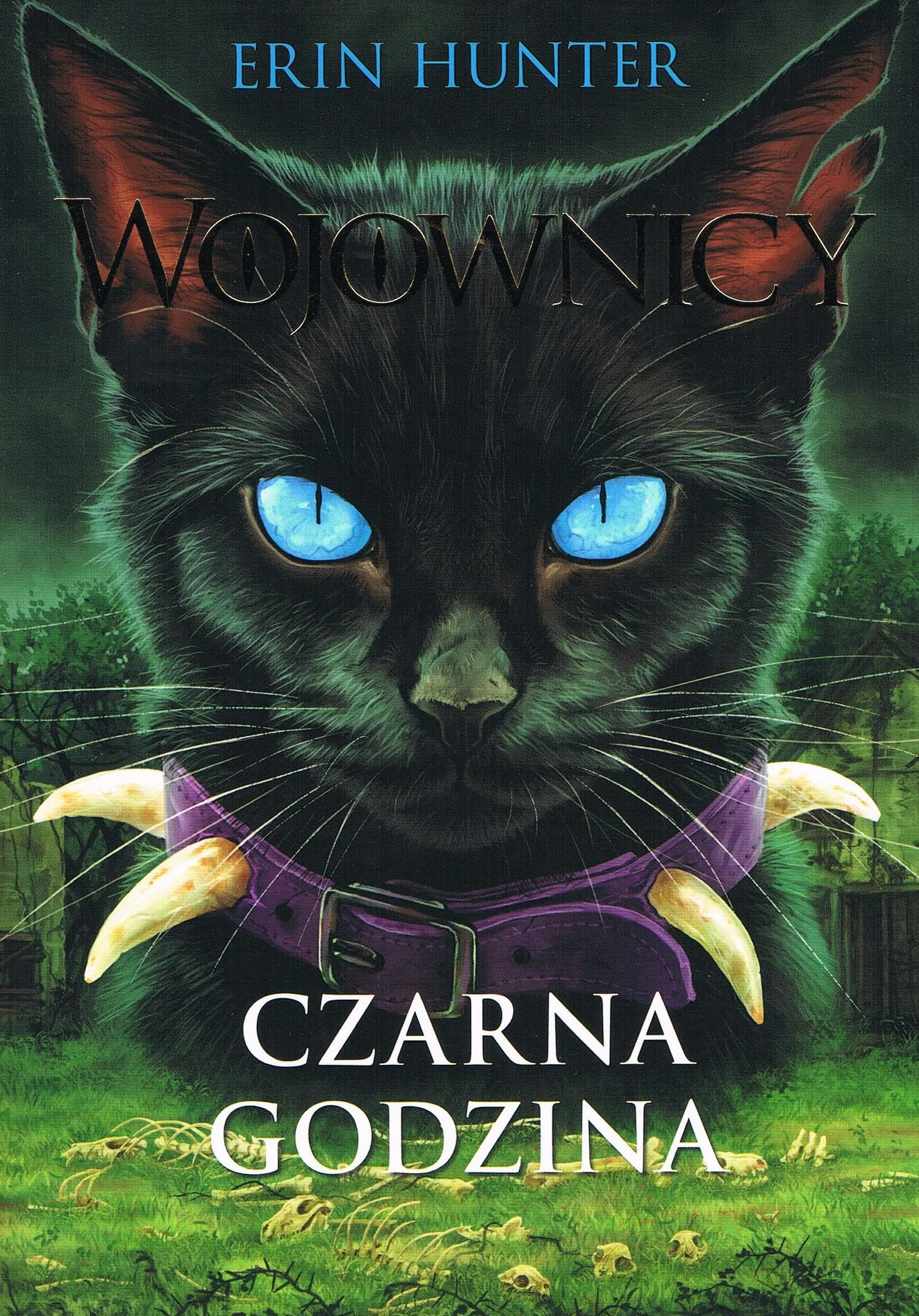 CZARNA GODZINA. WOJOWNICY TOM 6 WYD.IV