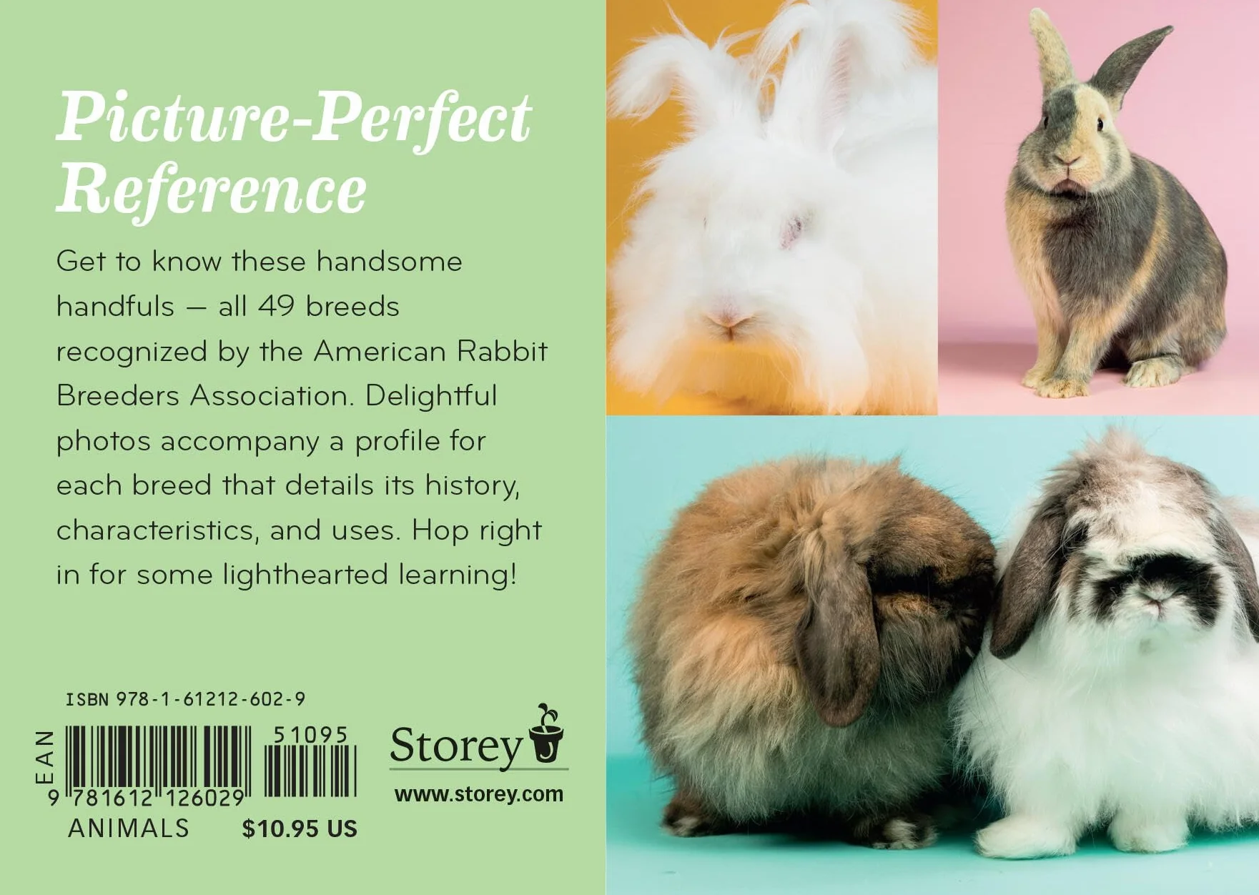 Rabbit Breeds: The Pocket Guide to 49 Essential Breeds
