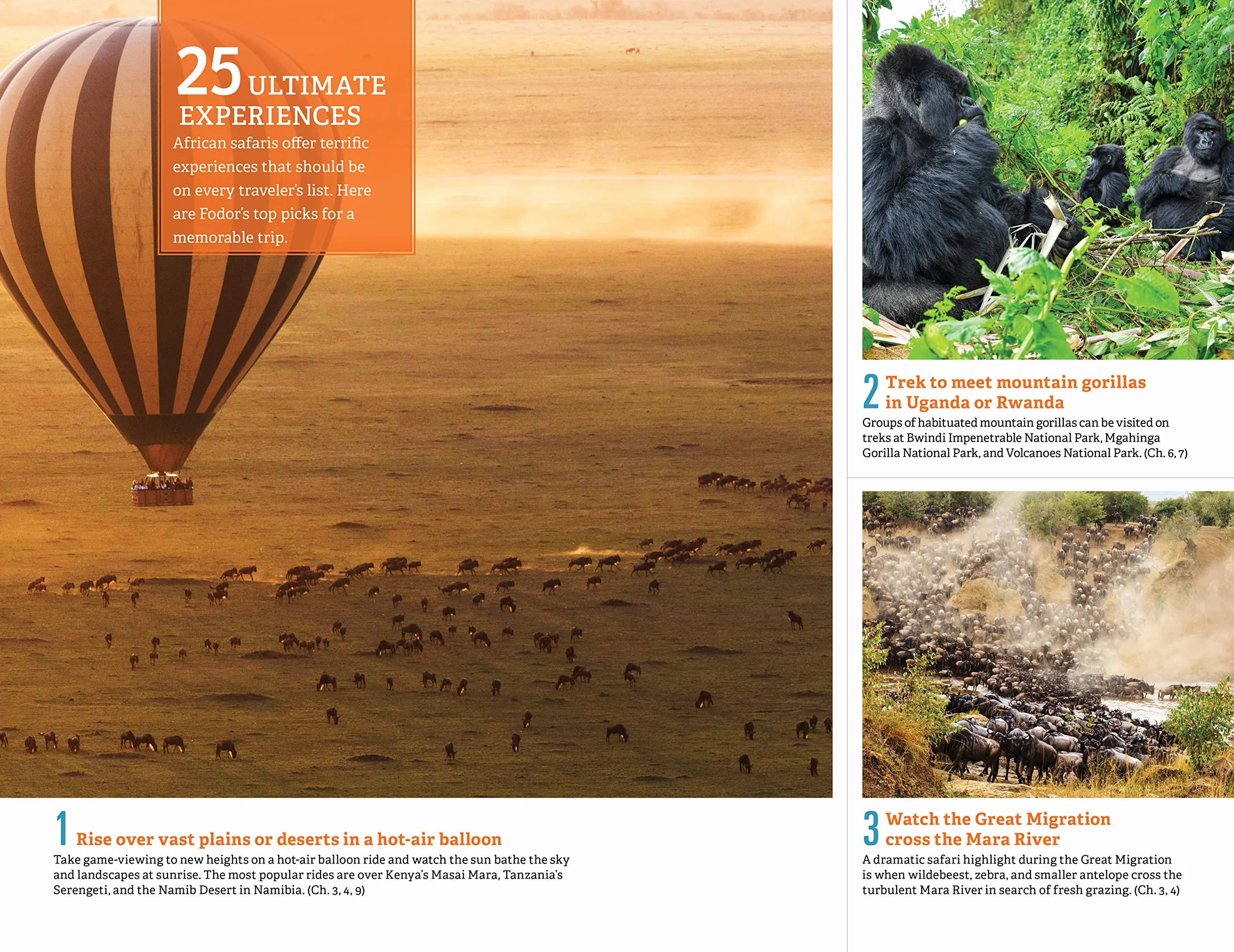 Fodor's the Complete Guide to African Safaris: With South Africa, Kenya, Tanzania, Botswana, Namibia, Rwanda, Uganda, and Victoria Falls