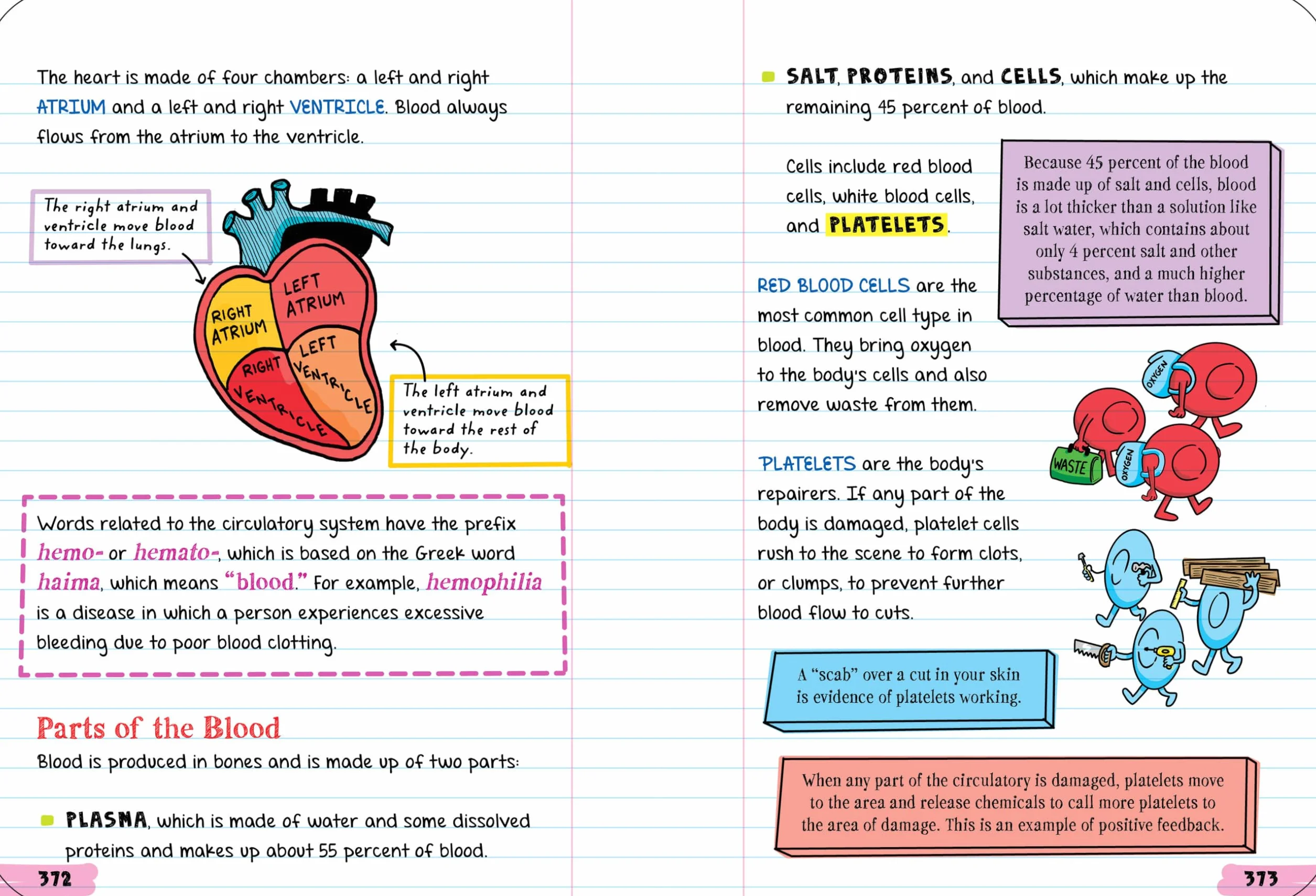 Everything You Need to Ace Biology in One Big Fat Notebook
