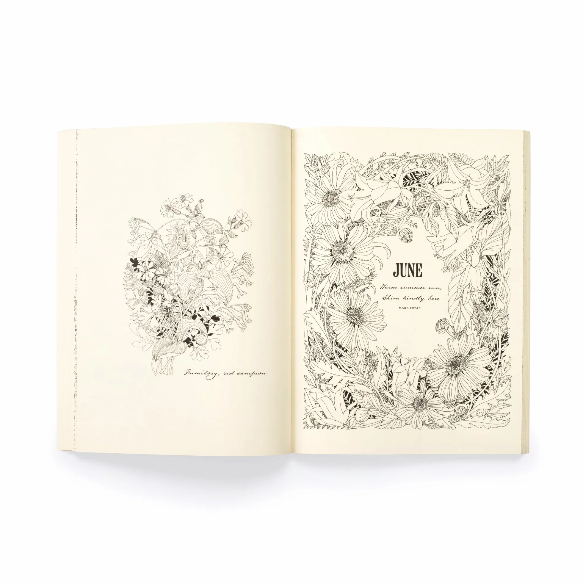 Floribunda Year /anglais: A Flower Colouring Companion
