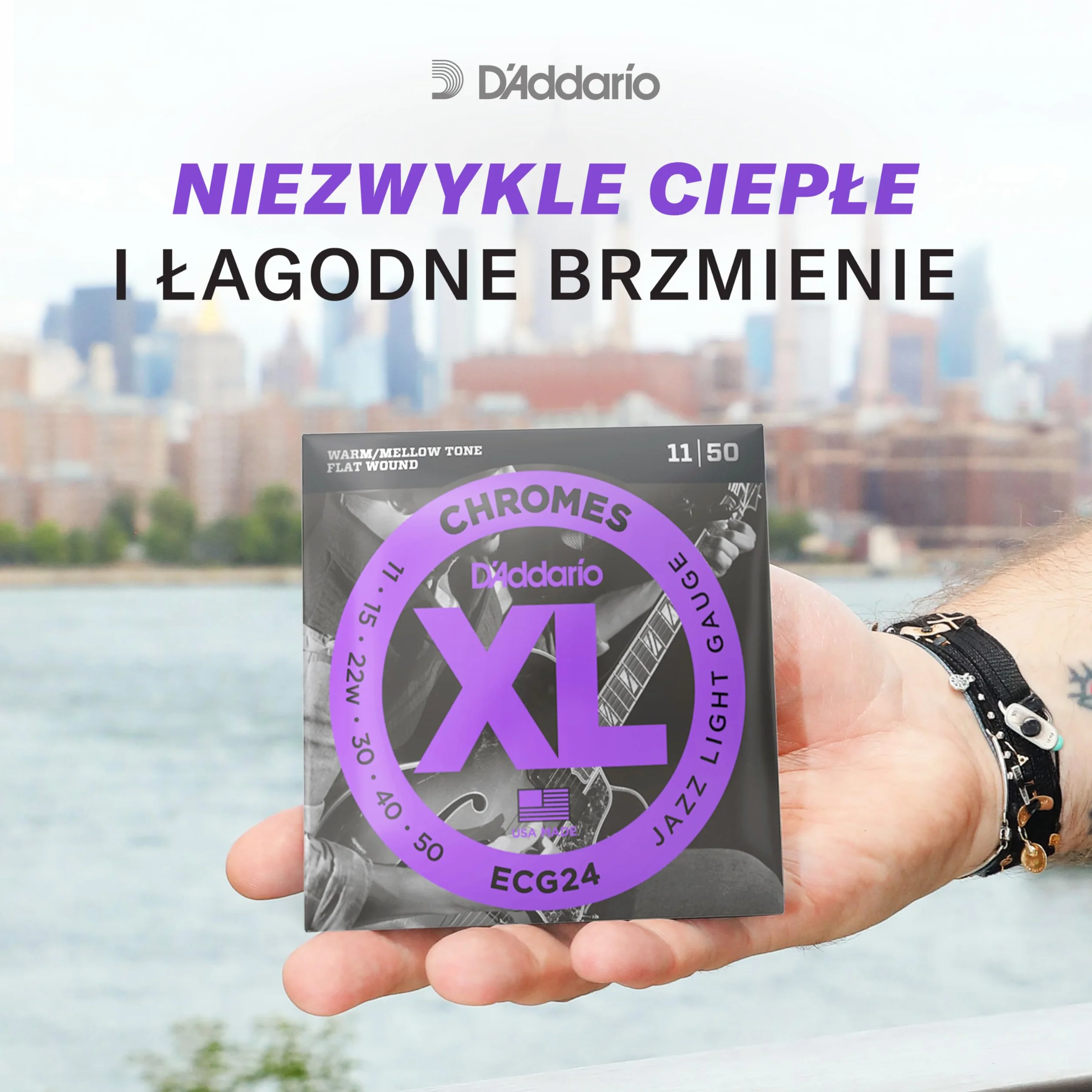 D'Addario E-Guitar Strings ECG24 11-50 Chromes Flatwound - Struna do gitary elektrycznej