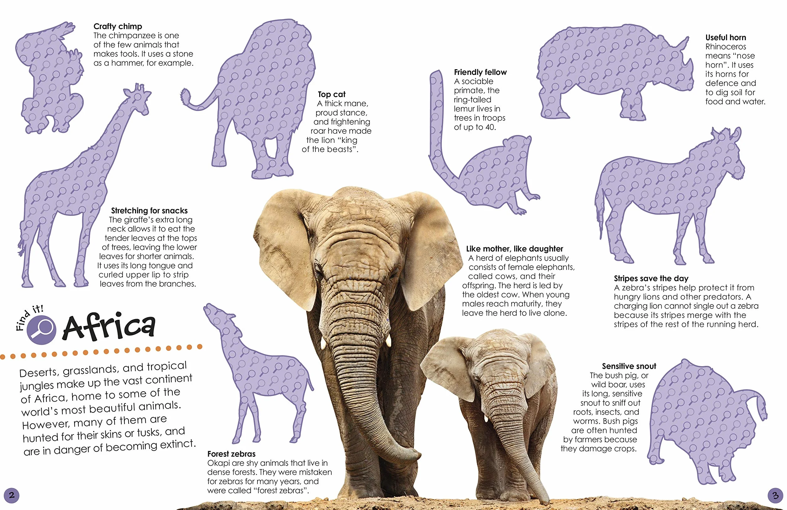 Ultimate Sticker Book Animals: More than 250 Reusable Stickers