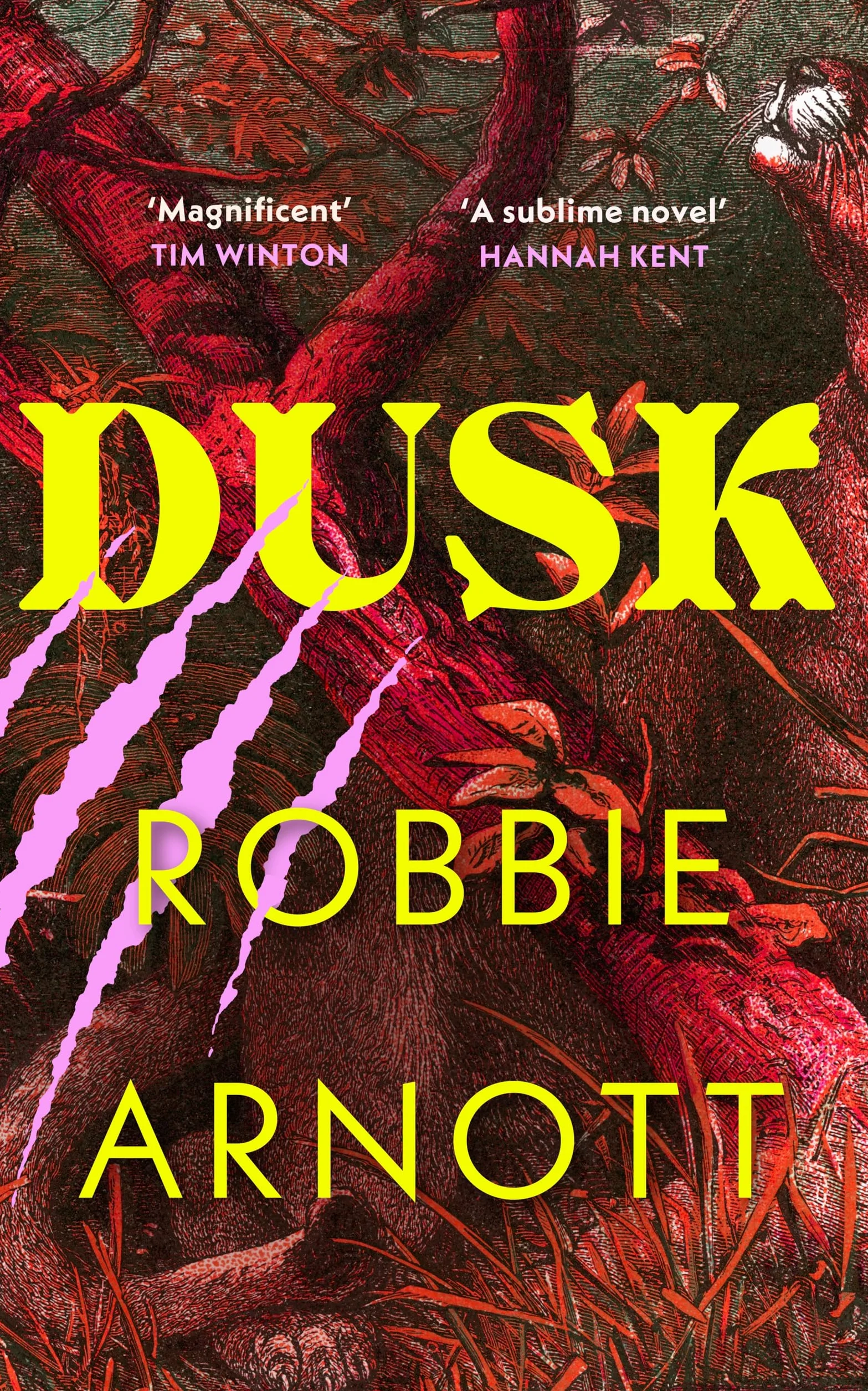 Dusk: A page-turning new historical novel from the prizewinning author of Limberlost