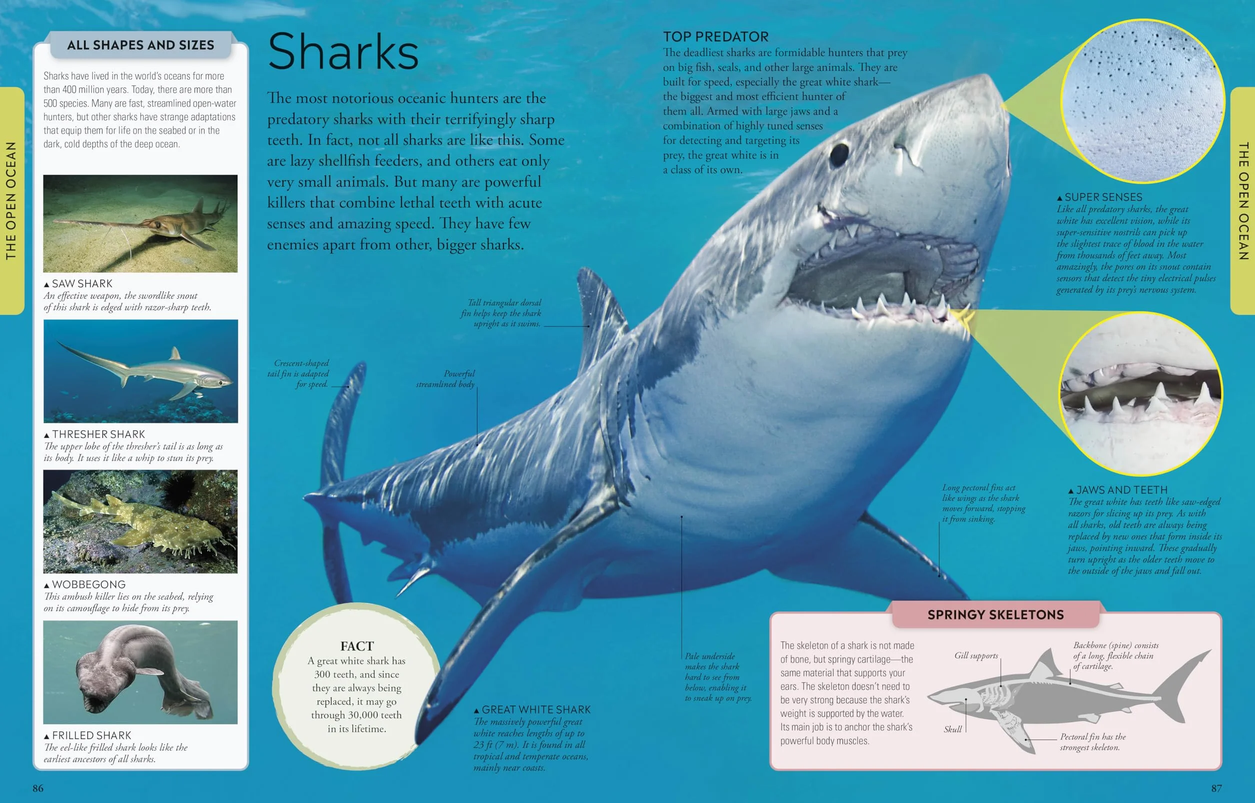 Ocean: A Visual Encyclopedia, 2nd Edition