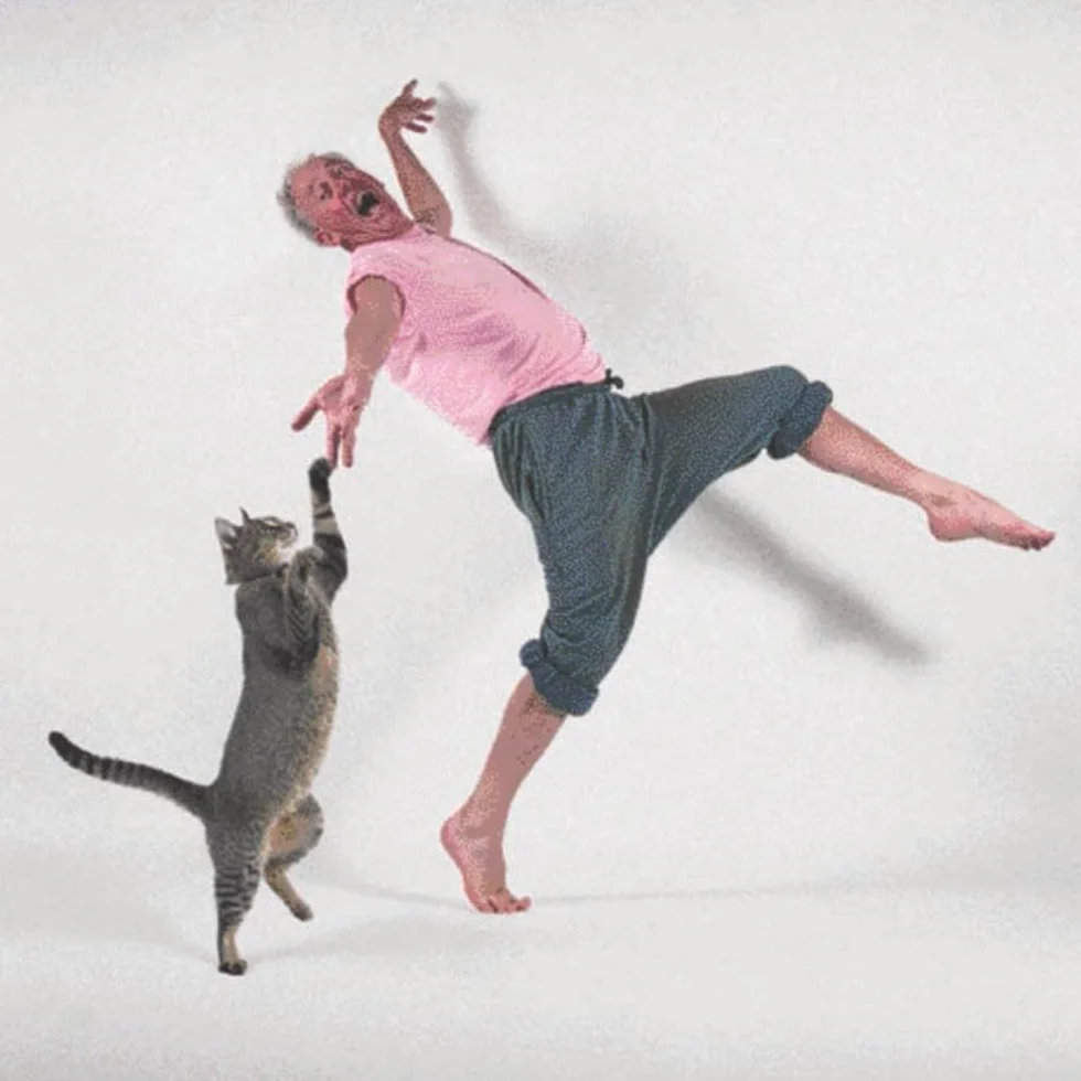 Dancing with Cats: From the Creators of the International Best Seller Why Cats Paint (Cat Books, Crazy Cat Lady Gifts, Gifts for Cat Lovers, Cat Photography)