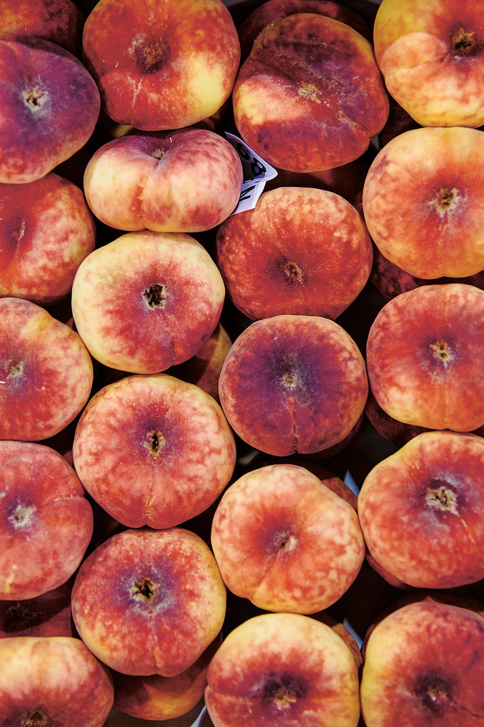 The Modern Preserver: A mindful cookbook packed with seasonal appeal
