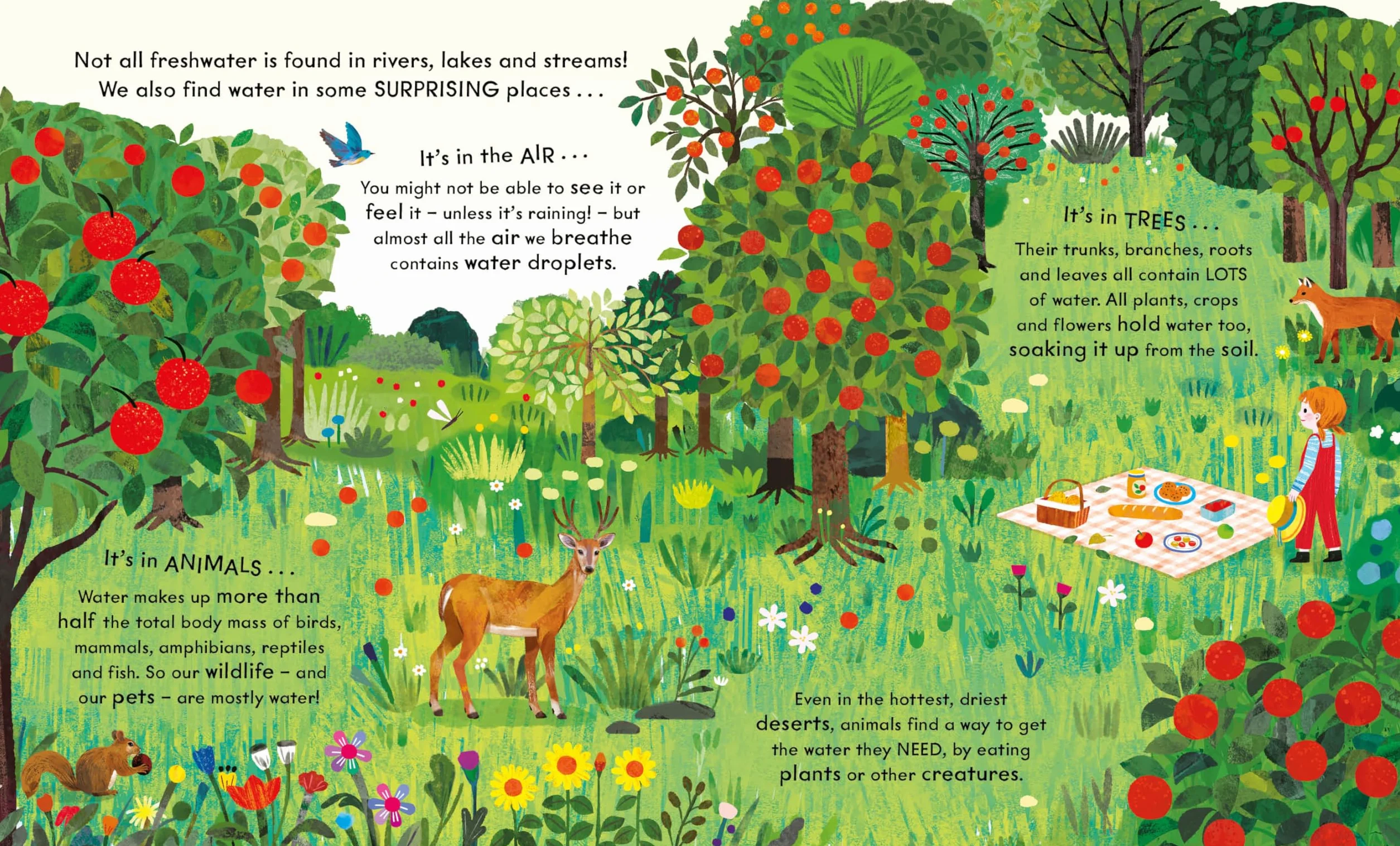 National Trust: Wonder World: Water: The Natural Science of Rain, Rivers and Oceans