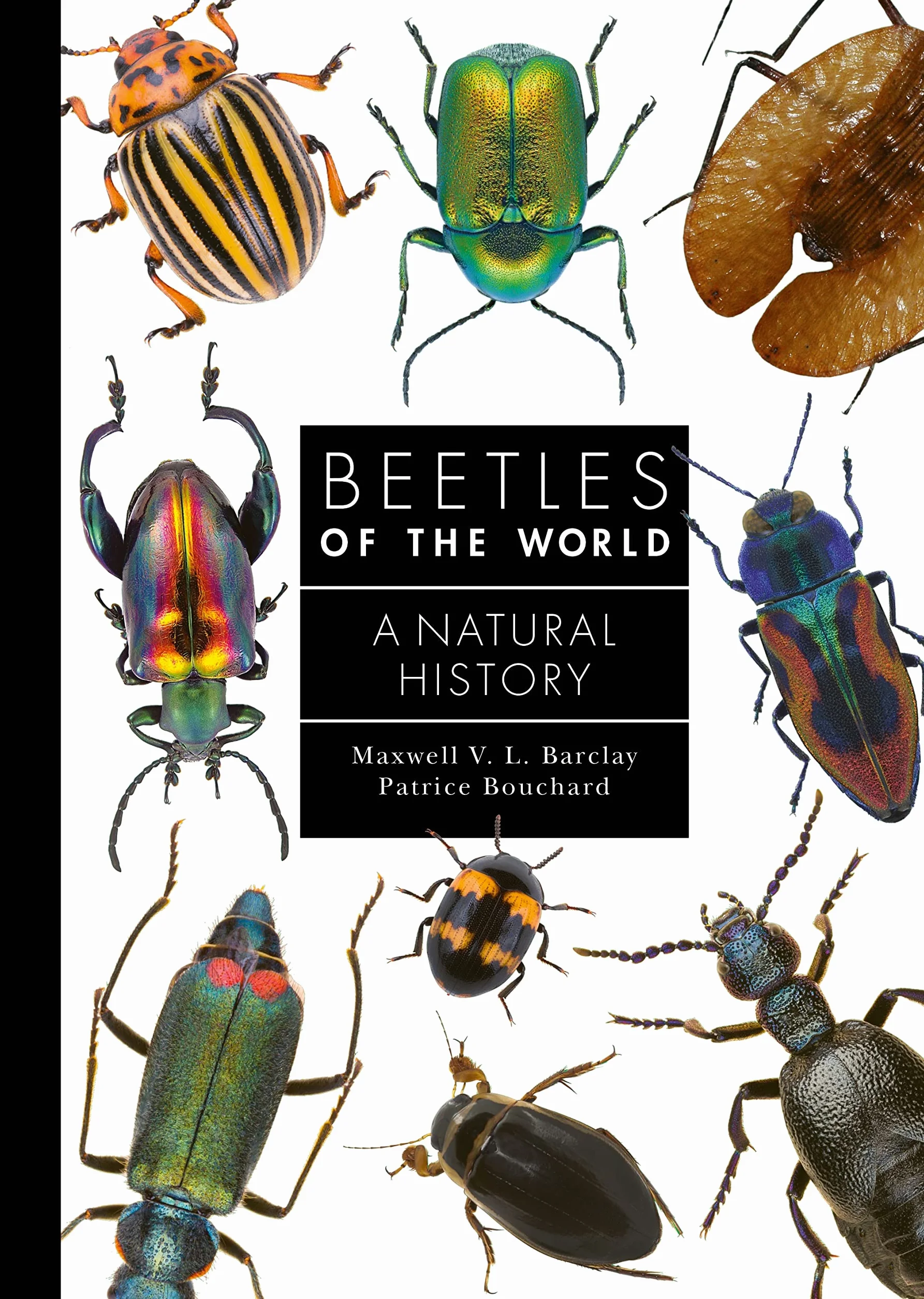 Beetles of the World: A Natural History: 7