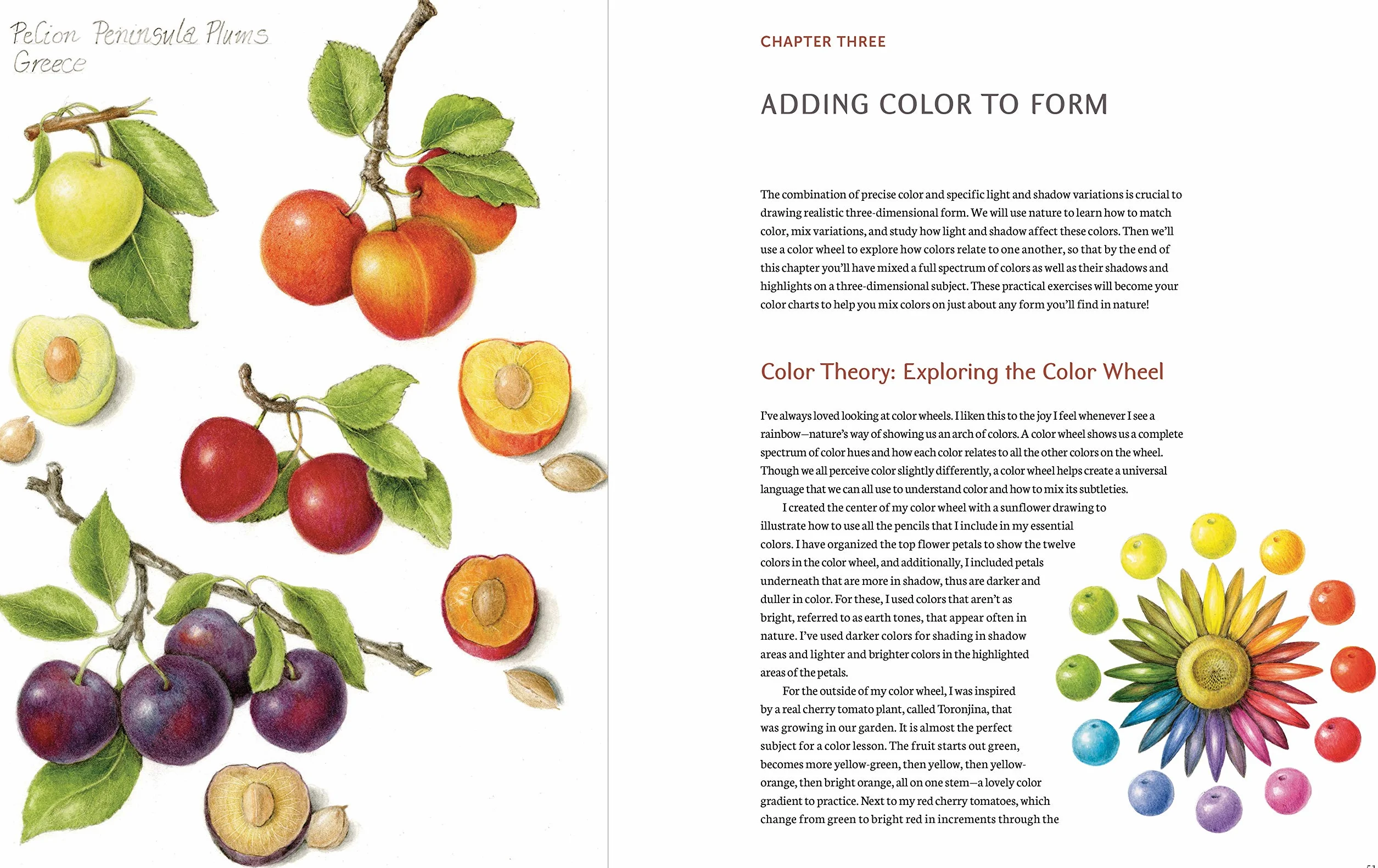 The Joy of Botanical Drawing: A Step-by-Step Guide to Drawing and Painting Flowers, Leaves, Fruit, and More