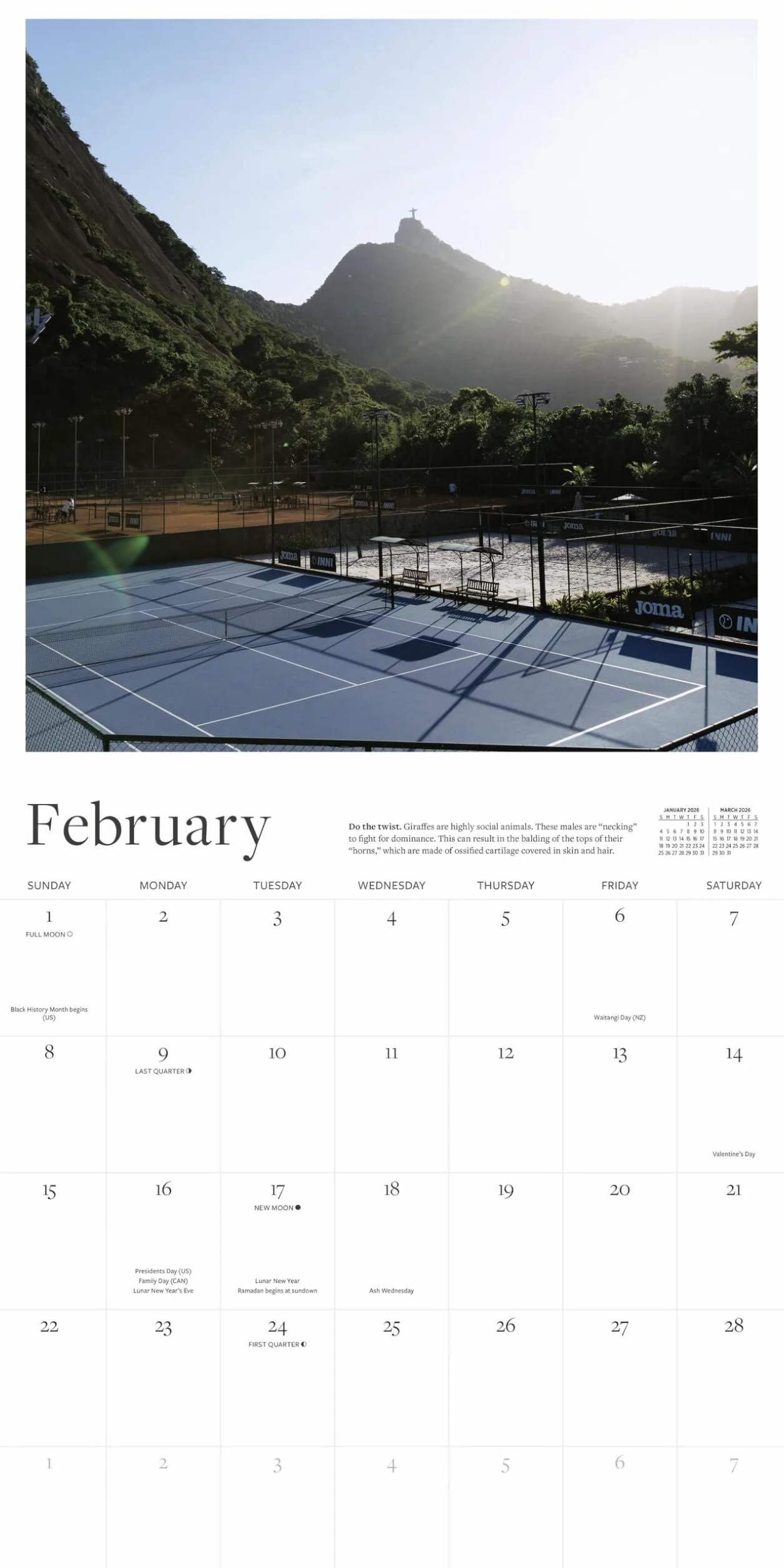 The Tennis Court Wall Calendar 2026: A Year of the World's Greatest Tennis Courts