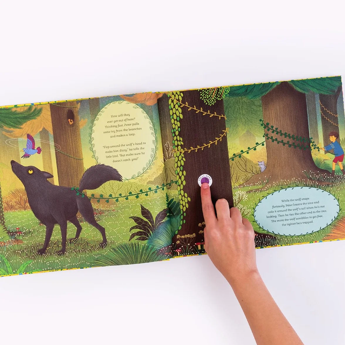 The Story Orchestra: Peter and the Wolf /anglais: Press the note to hear Prokofiev's music: Volume 9