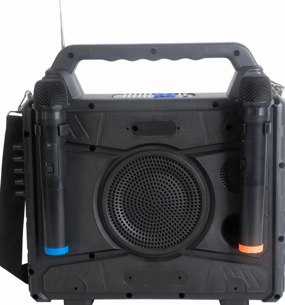 Ibiza KARAVISION Przenośny głośnik Karaoke z ekranem i 2x VHF Mics
