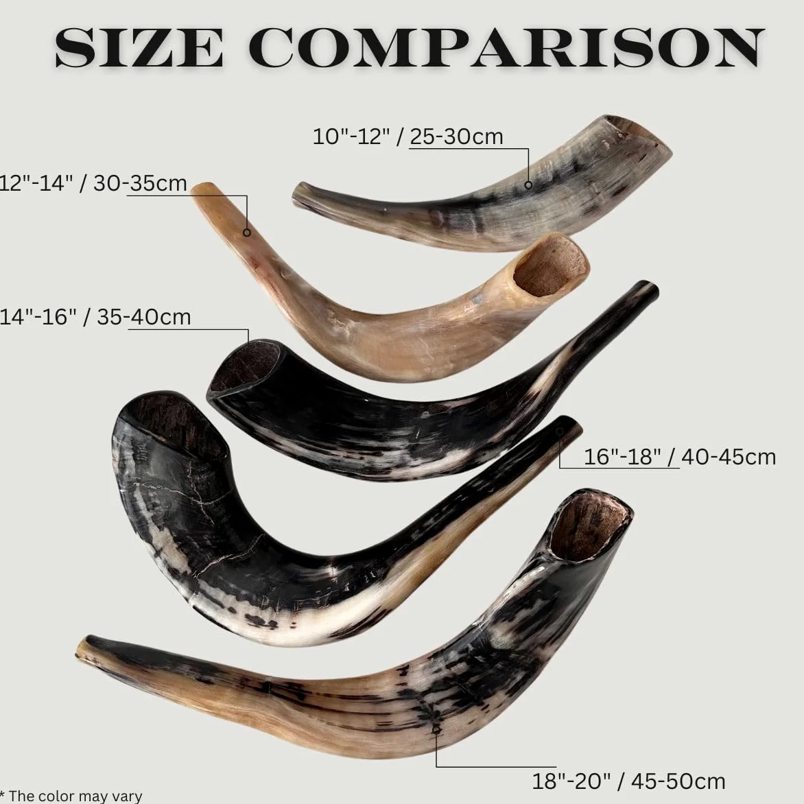 Schofar: Autentyczny i koszerny polerowany shofar Ramhorn z Izraela (30,5 cm – 35,6 cm)