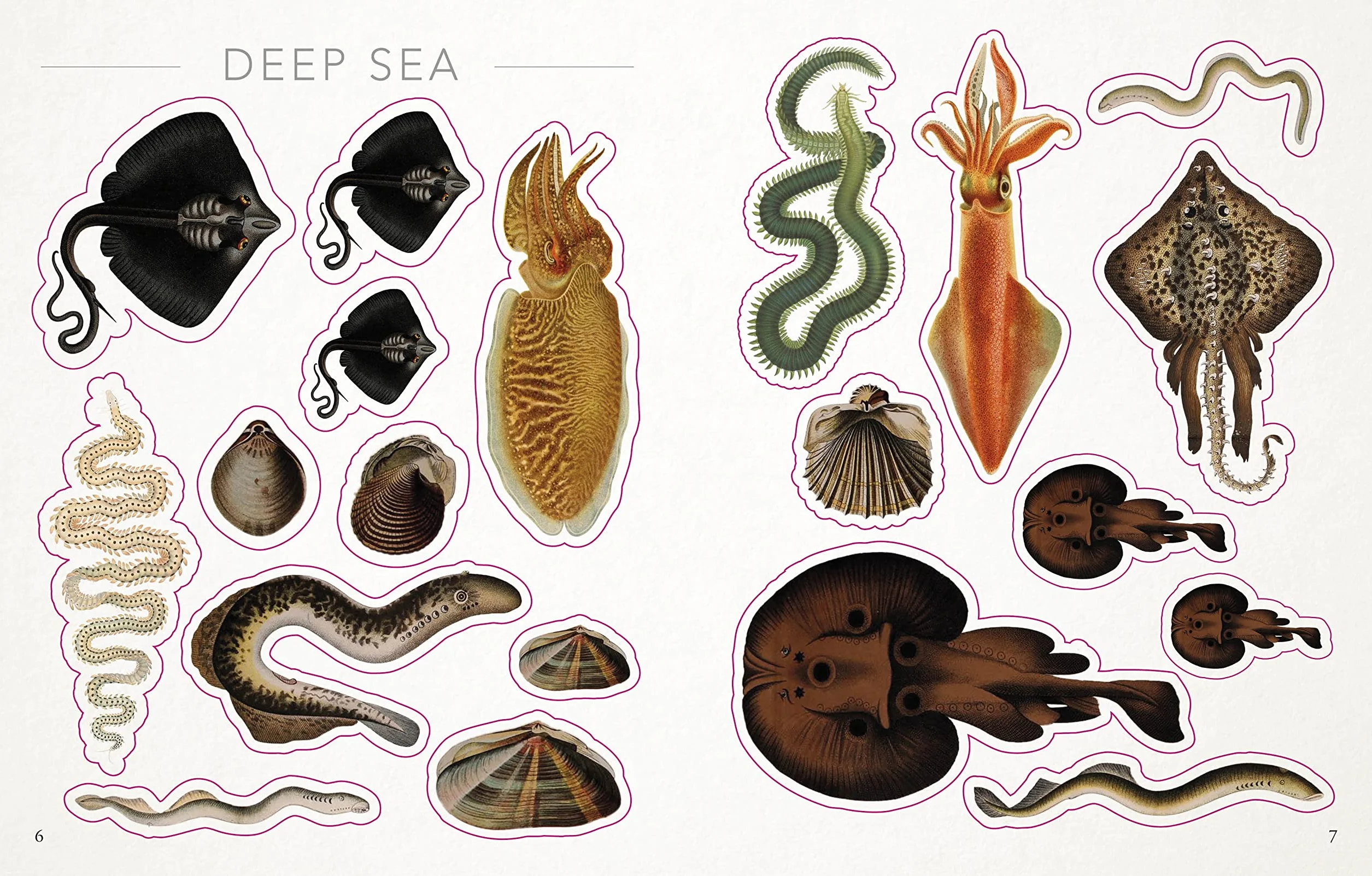 The Seashore Sticker Anthology: With More Than 1,000 Vintage Stickers