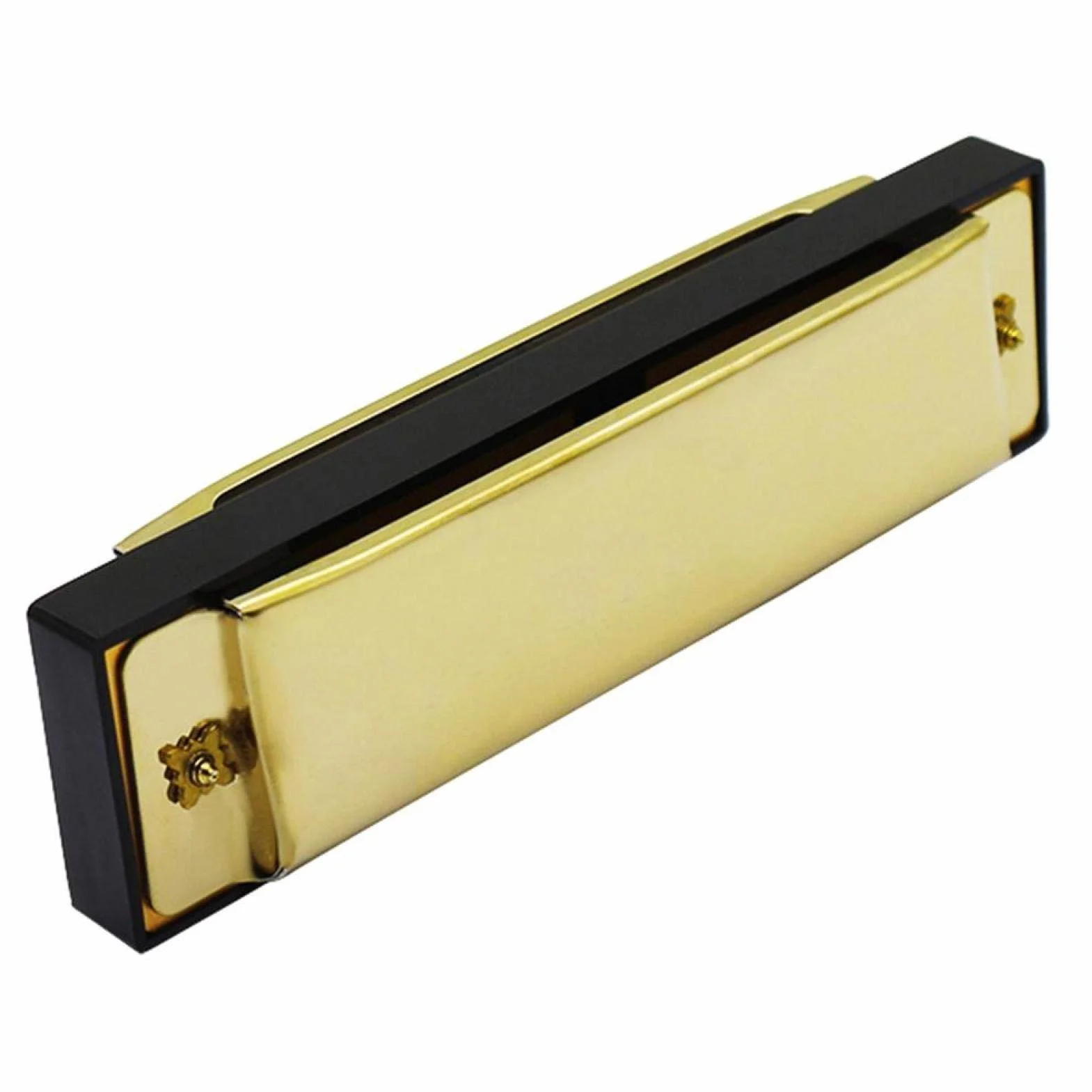 Alomejor Harmonijka 10 otworów 20 melodii harmonijka diatoniczna profesjonalna metalowa edukacyjna instrument muzyczny dla początkujących studentów dzieci