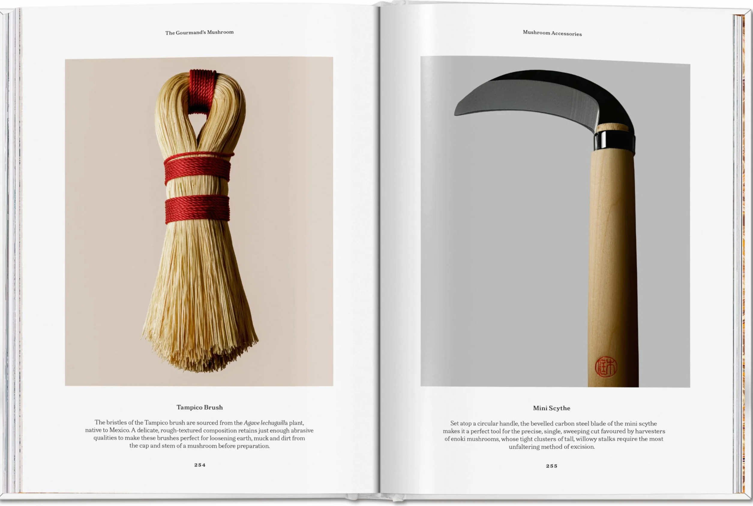 The Gourmand's Mushroom. a Collection of Stories & Recipes