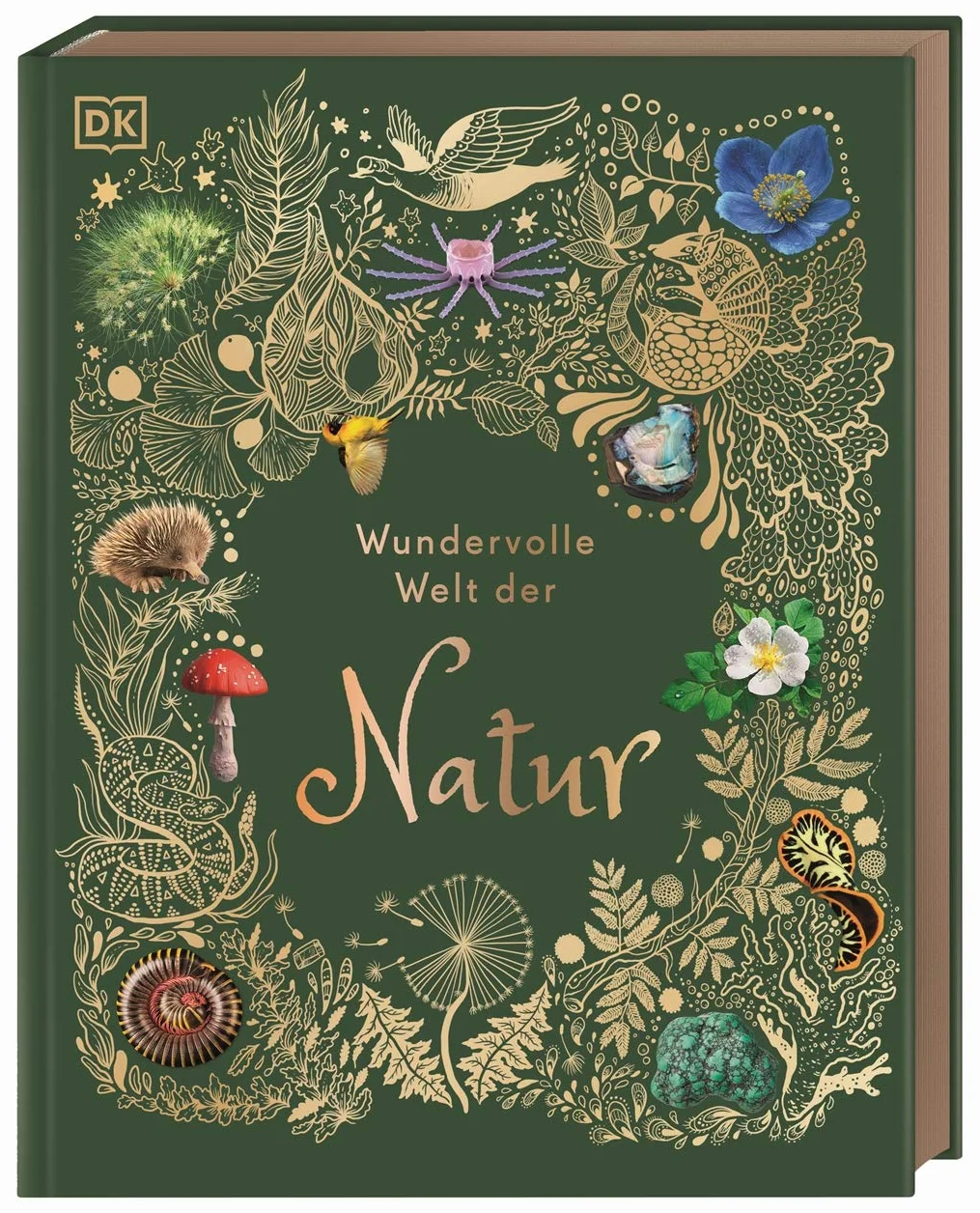 Wundervolle Welt der Natur: Ein Naturbilderbuch für die ganze Familie. Hochwertig ausgestattet mit Lesebändchen, Goldfolie und Goldschnitt