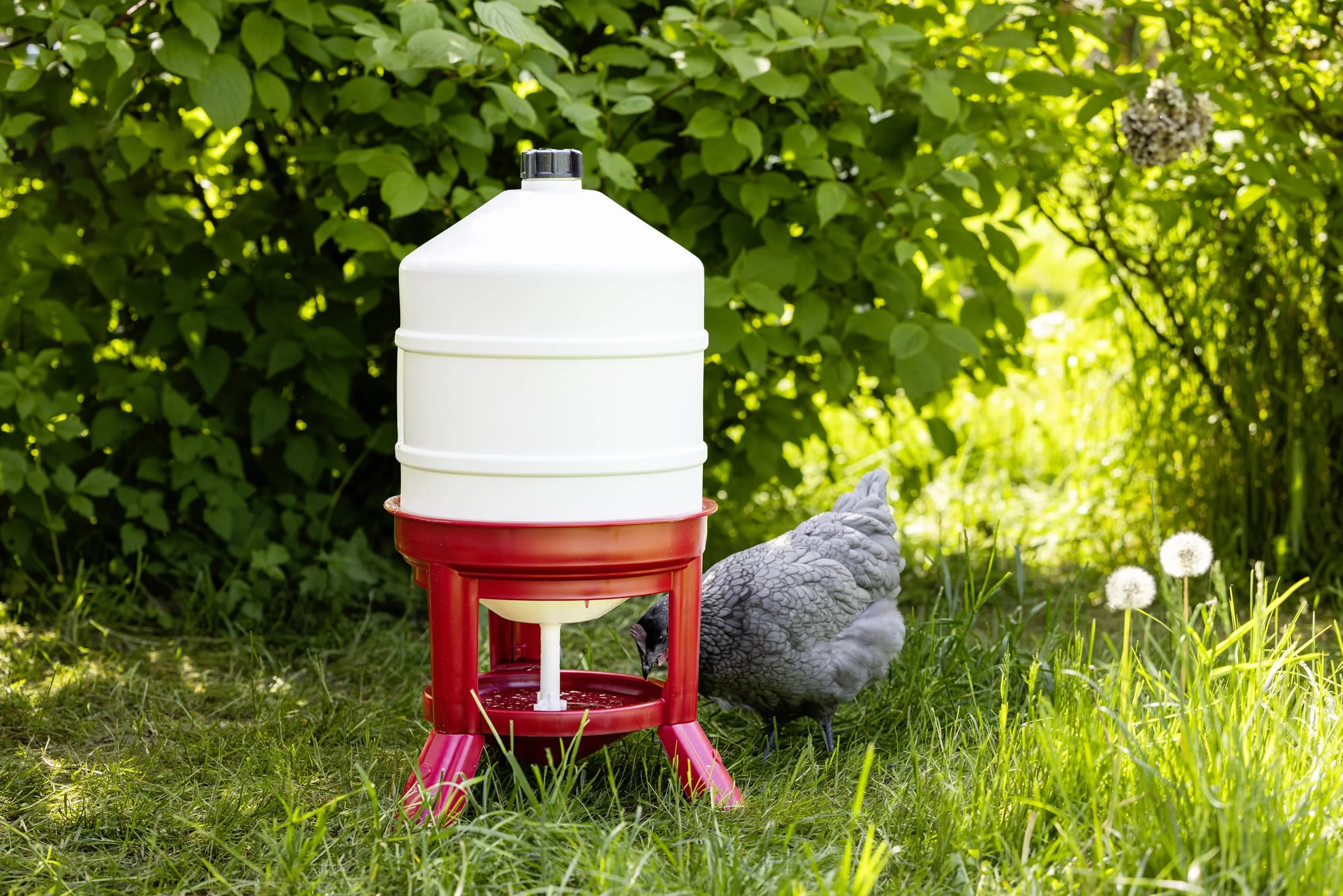 Kerbl 70233 Poidło Dla Drobiu, 30 L