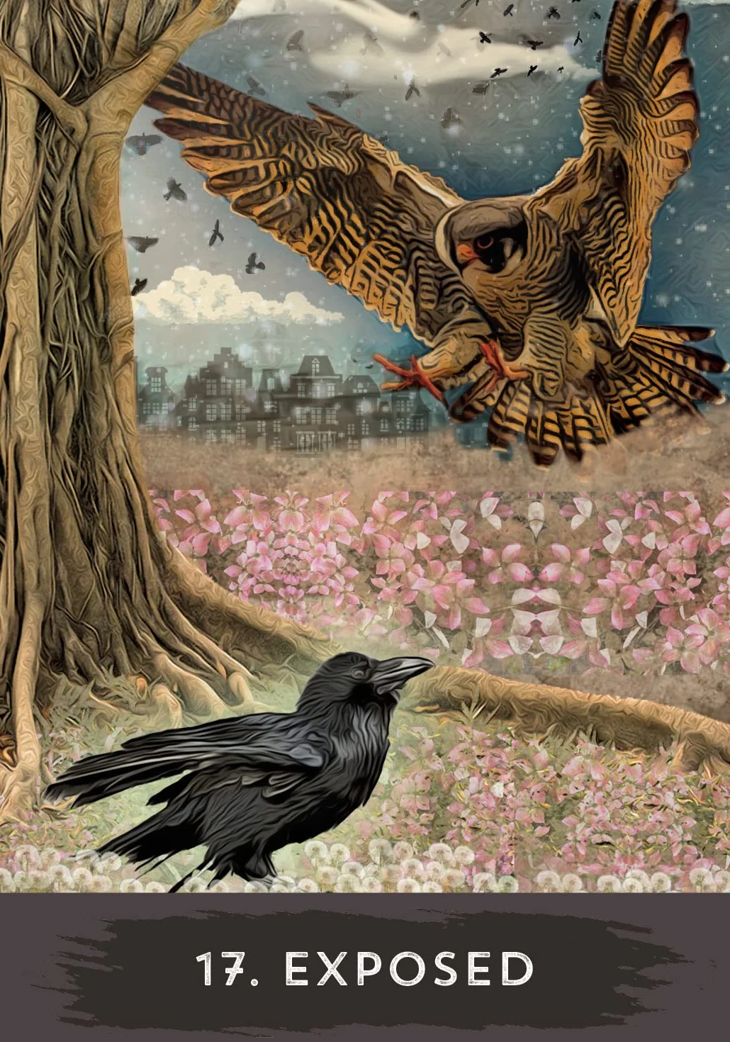 Urban Crow Oracle: A 54-Card Deck and Guidebook