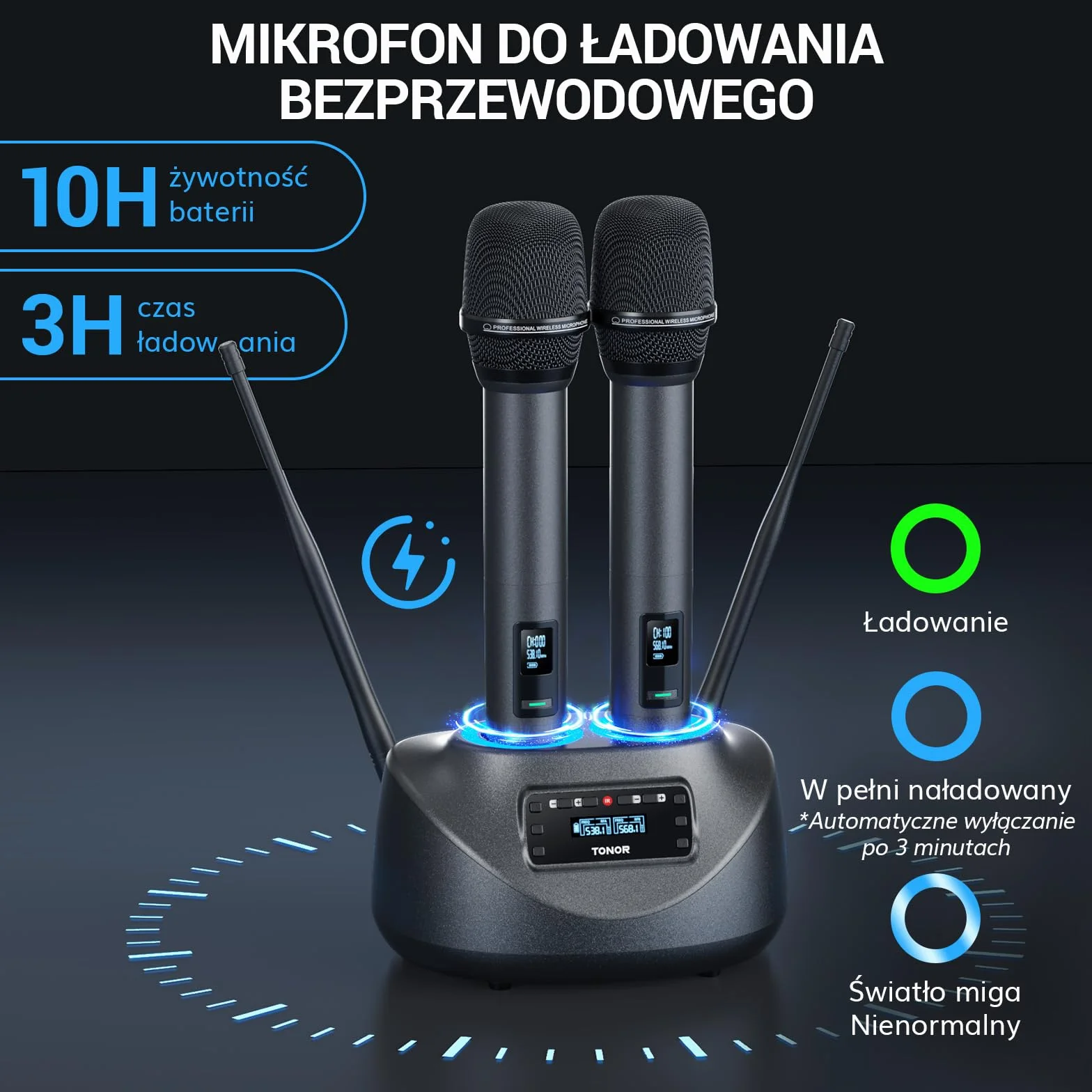 Rechargeable 2 Channel Wireless Microphone System with 2 Cordless Handheld Mics, Metal Receiver, Ideal for Church Karaoke Party Sports Class