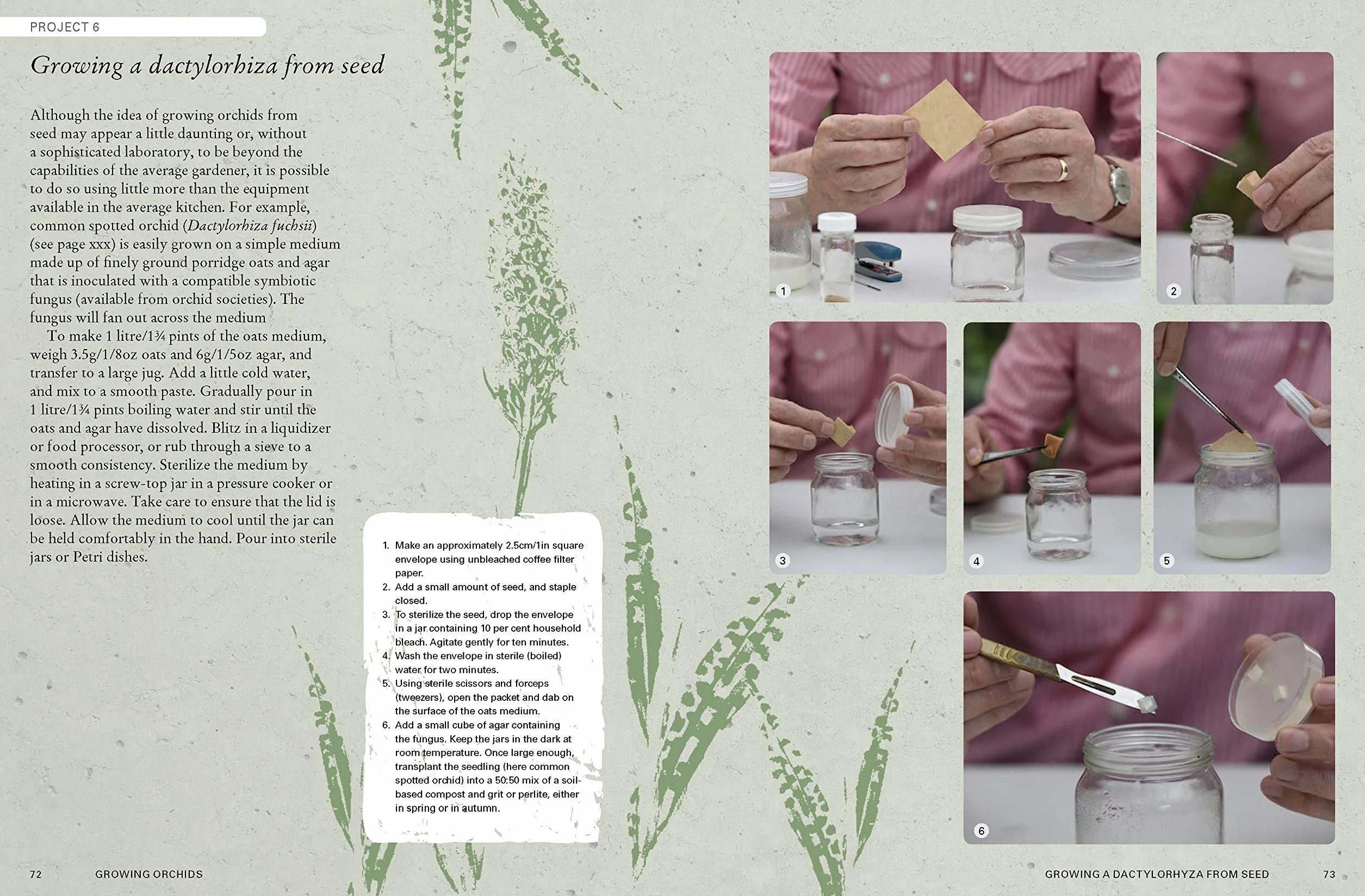 The Kew Gardener's Guide to Growing Orchids: The Art and Science to Grow Your Own Orchids (Volume 6)