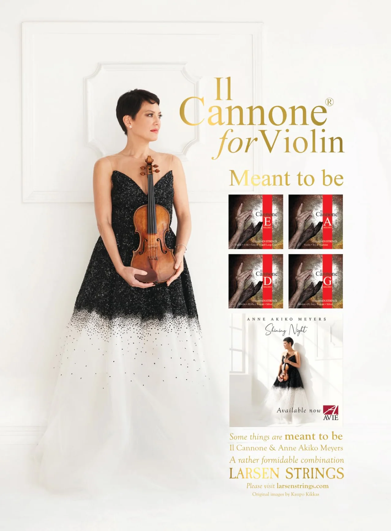 LARSEN STRINGS skrzypce struny Il Cannone - 4/4 skrzypce - Soloist - komplet 4 strun, napięcie 24,5 kg/53.9 lbs