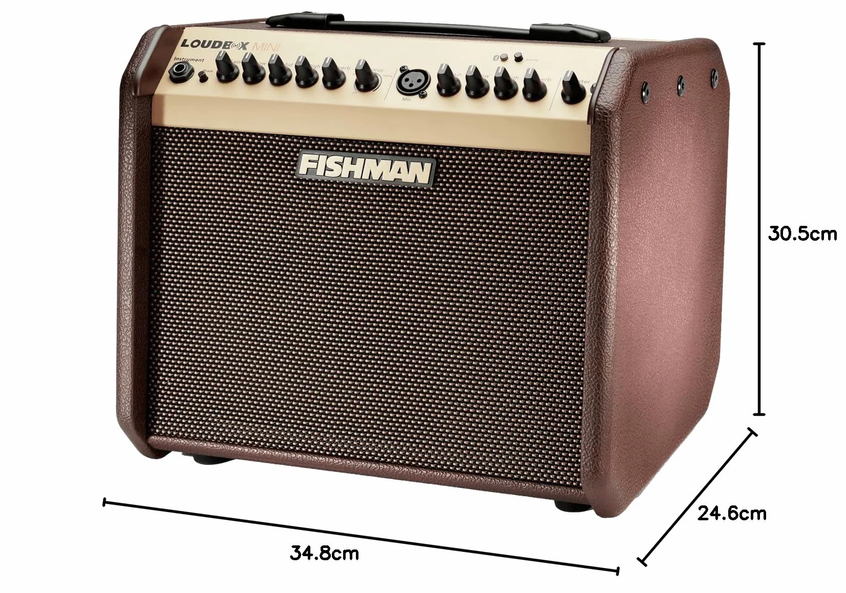 Fishman - Głośnik Mini Bluetooth, brązowy i złoty