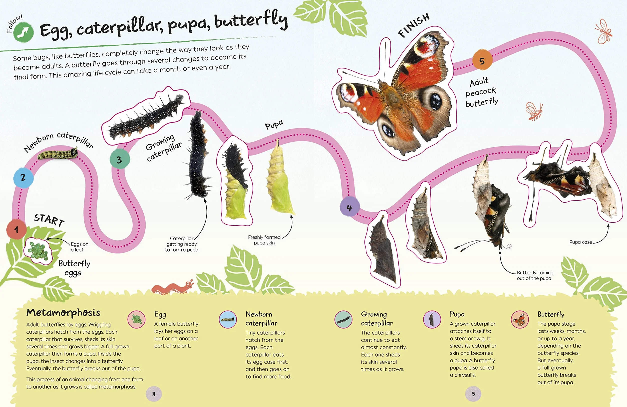 RHS Ultimate Sticker Book Garden Bugs: New Edition with More than 250 Stickers