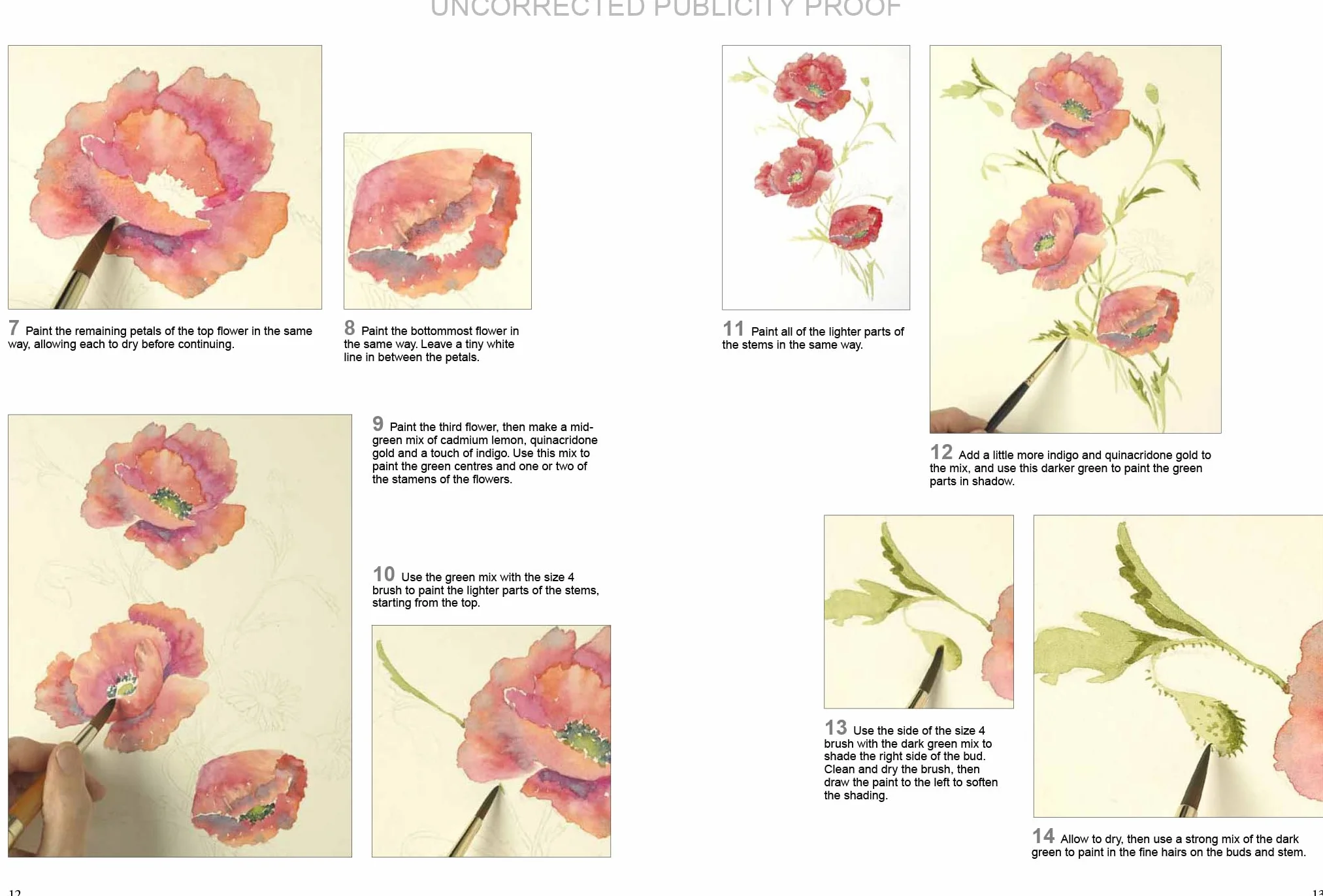 Ready to Paint Watercolour Flowers