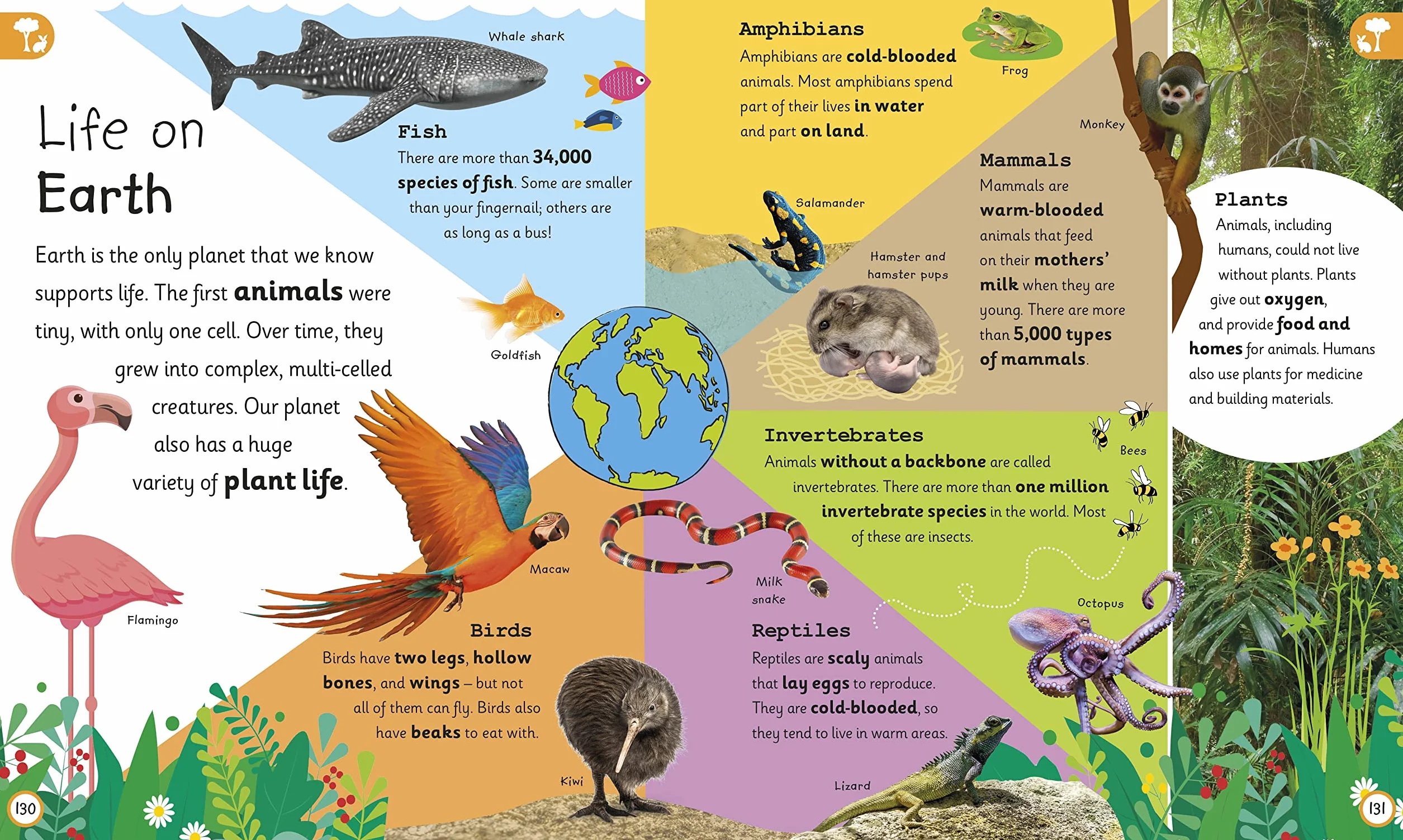 My Very Important Earth Encyclopedia: For Little Learners Who Want to Know About Our Planet