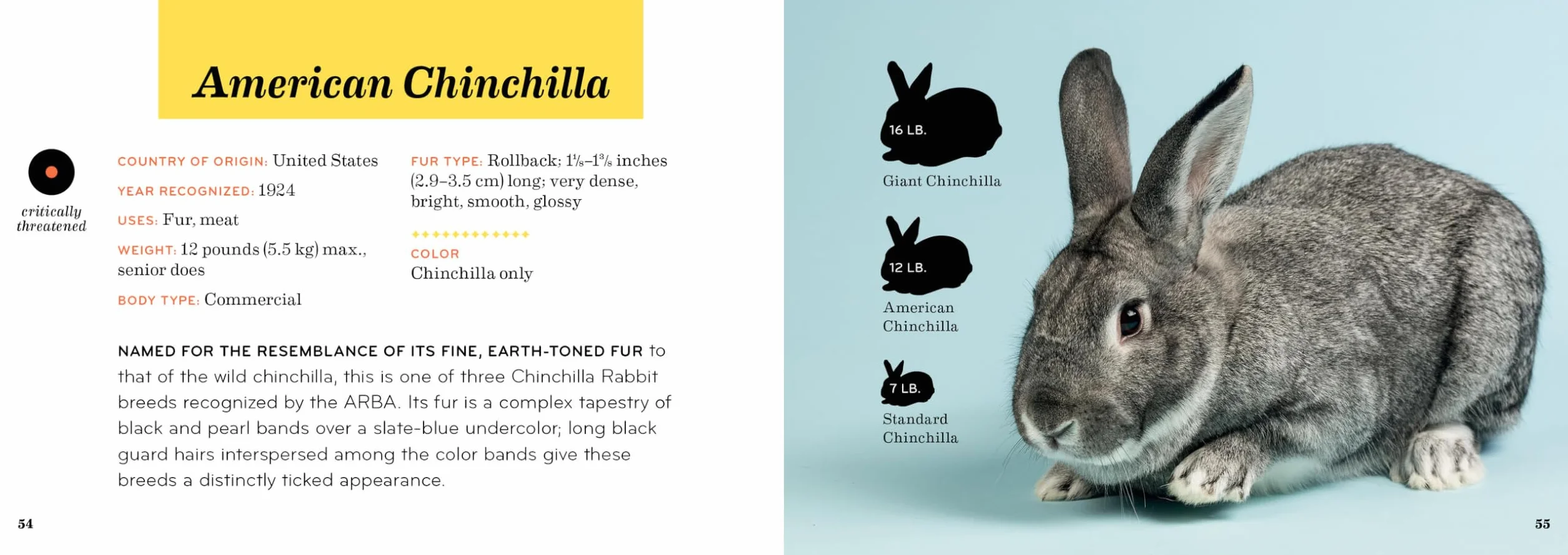 Rabbit Breeds: The Pocket Guide to 49 Essential Breeds