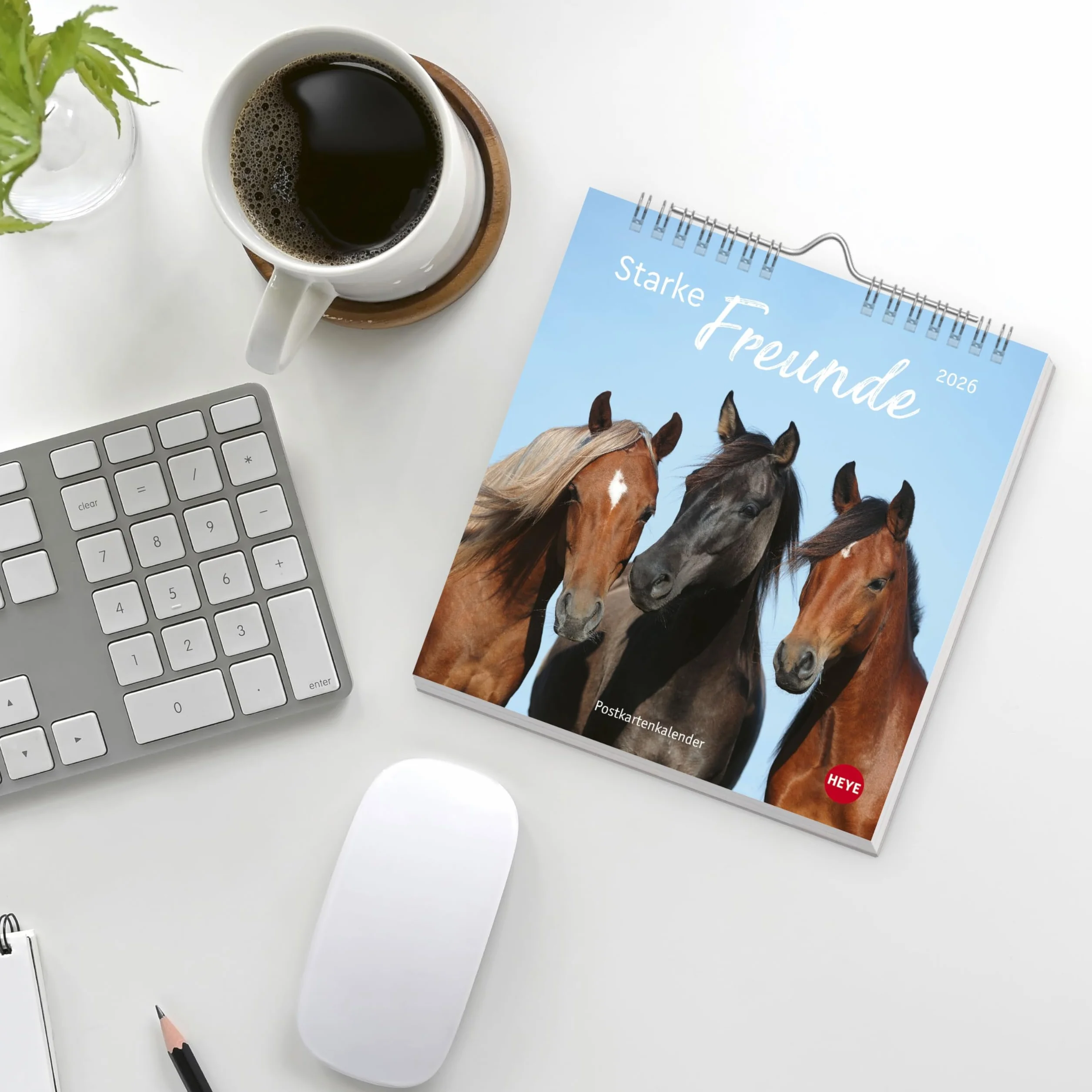Pferde Postkartenkalender 2026 - Starke Freunde: Pferdefotografin Sabine Stuewer setzt die edlen Tiere in einem kleinen Kalender perfekt in Szene. Hochwertiger Postkarten-Fotokalender.