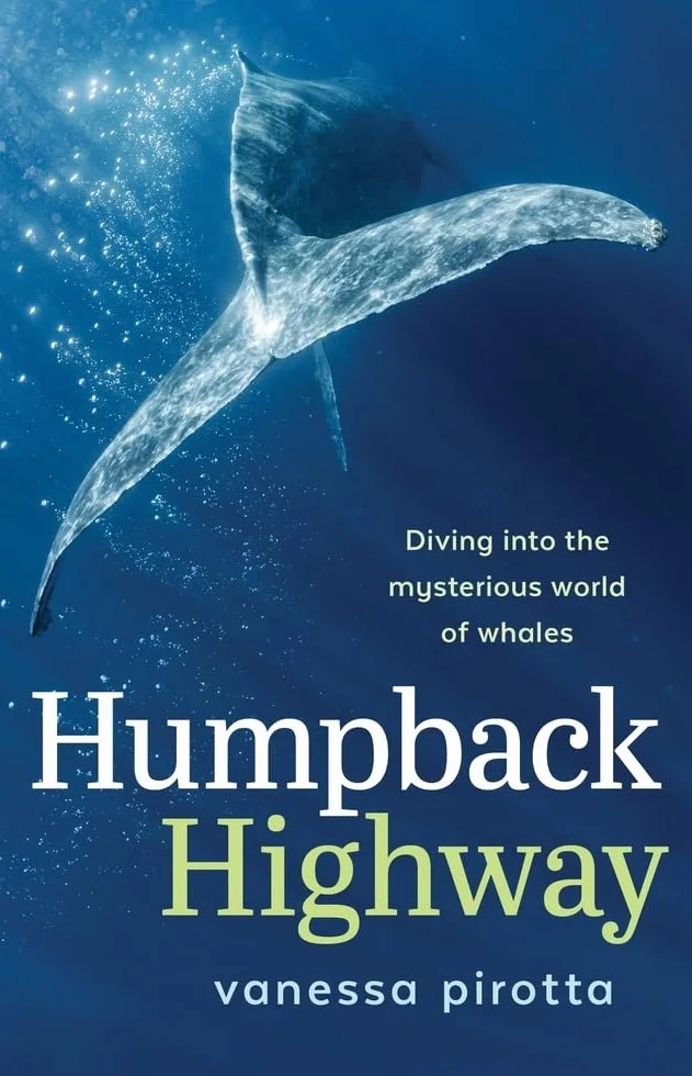 Humpback Highway: Diving into the mysterious world of whales