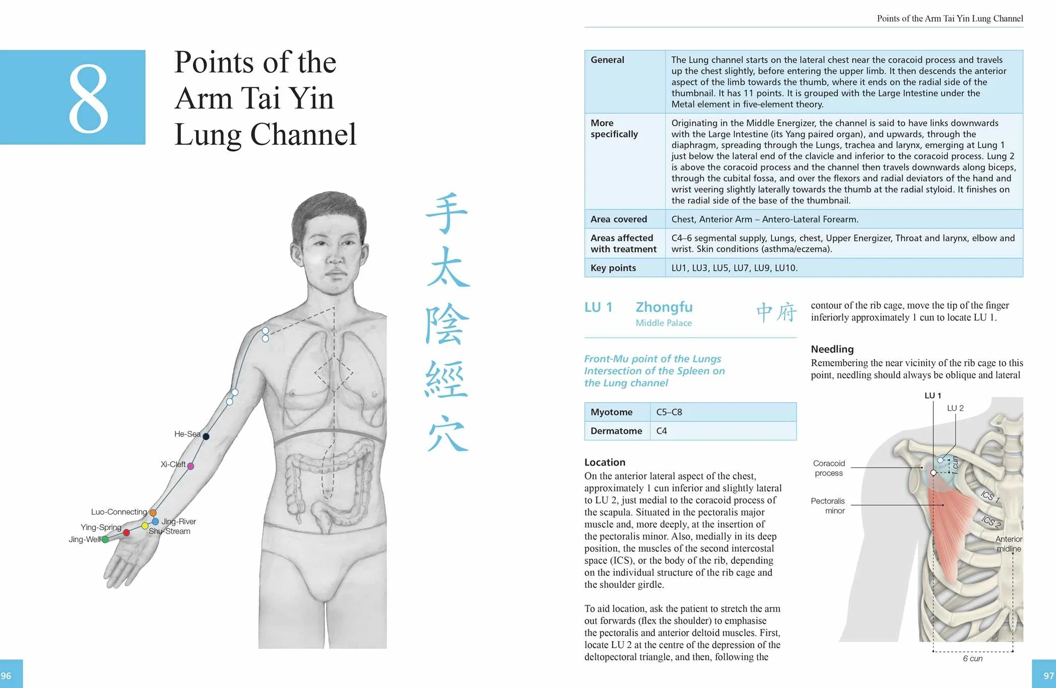 The Definitive Guide to Acupuncture Points: Theory and Practice