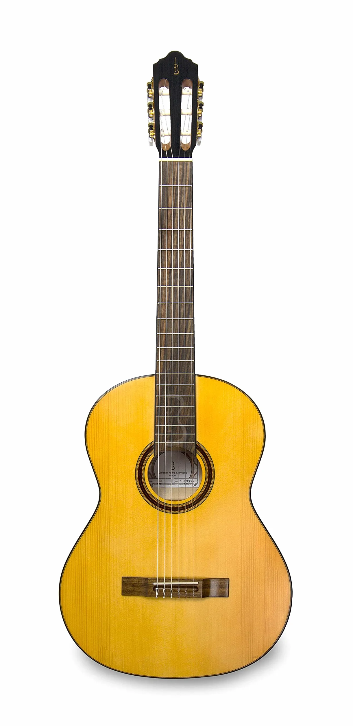 APC Instruments 5F gitara koncertowa