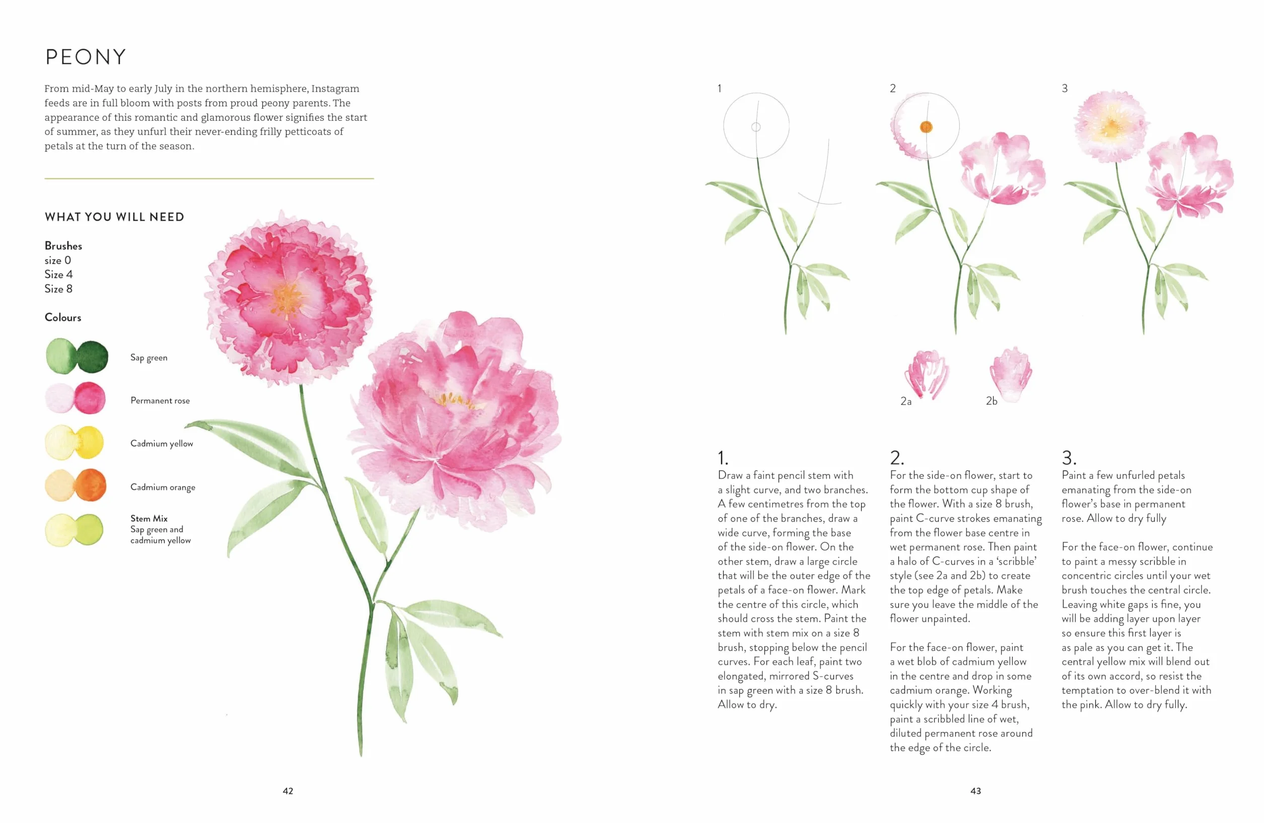 New Botanical Painting