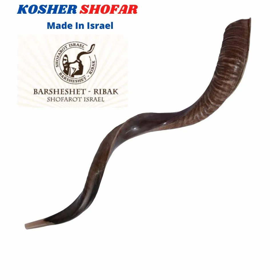 Połowa polerowana naturalna judaika koszerna 60-70 cm Yeninite Kudu Shofar róg Izrael