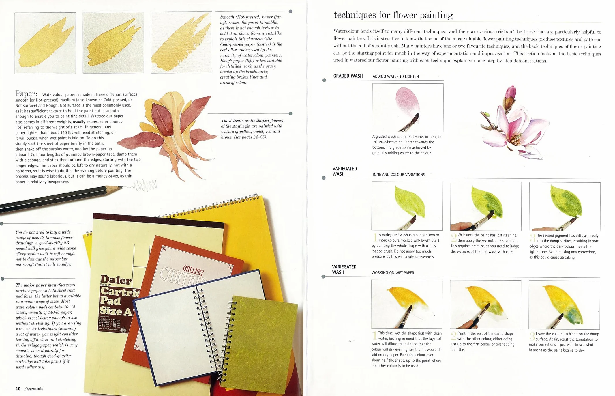 Kew: The Watercolour Flower Painter's A to Z: An Illustrated Directory of Techniques for Painting 50 Popular Flowers