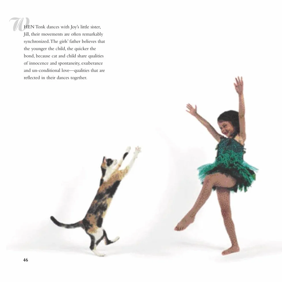 Dancing with Cats: From the Creators of the International Best Seller Why Cats Paint (Cat Books, Crazy Cat Lady Gifts, Gifts for Cat Lovers, Cat Photography)