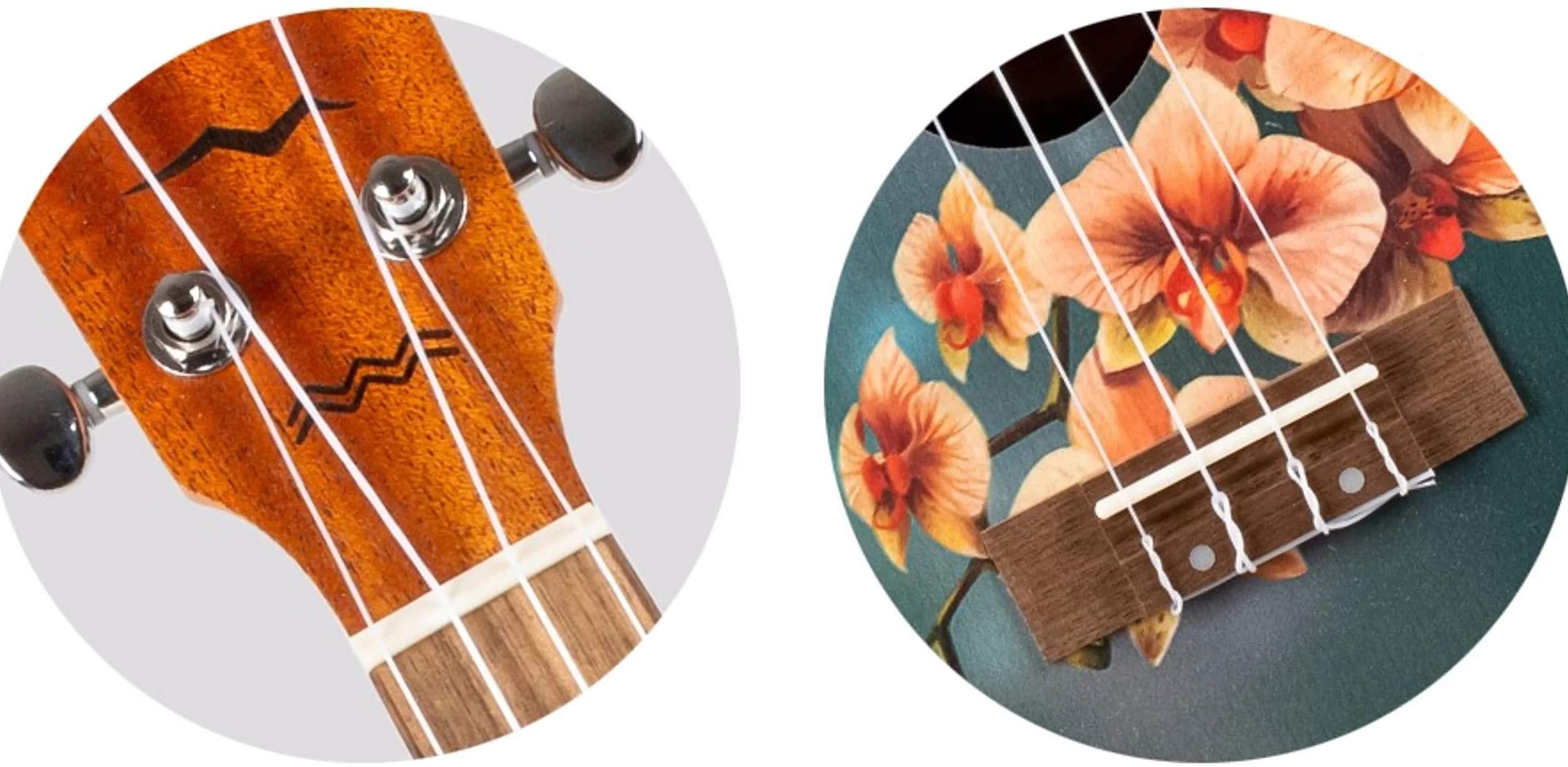 Flight Ukeleles AUC33 koncertowe ukulele - orchidea