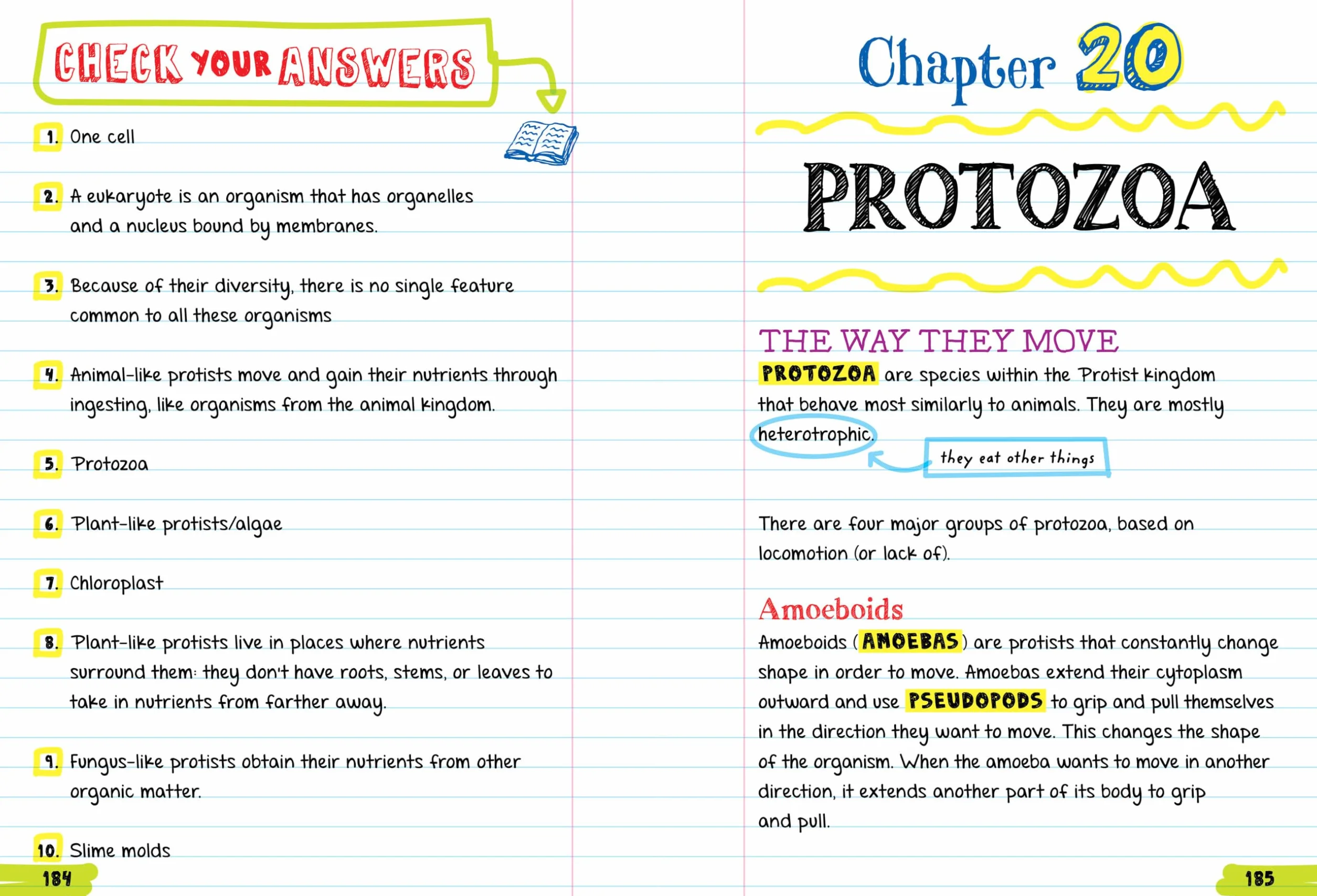 Everything You Need to Ace Biology in One Big Fat Notebook