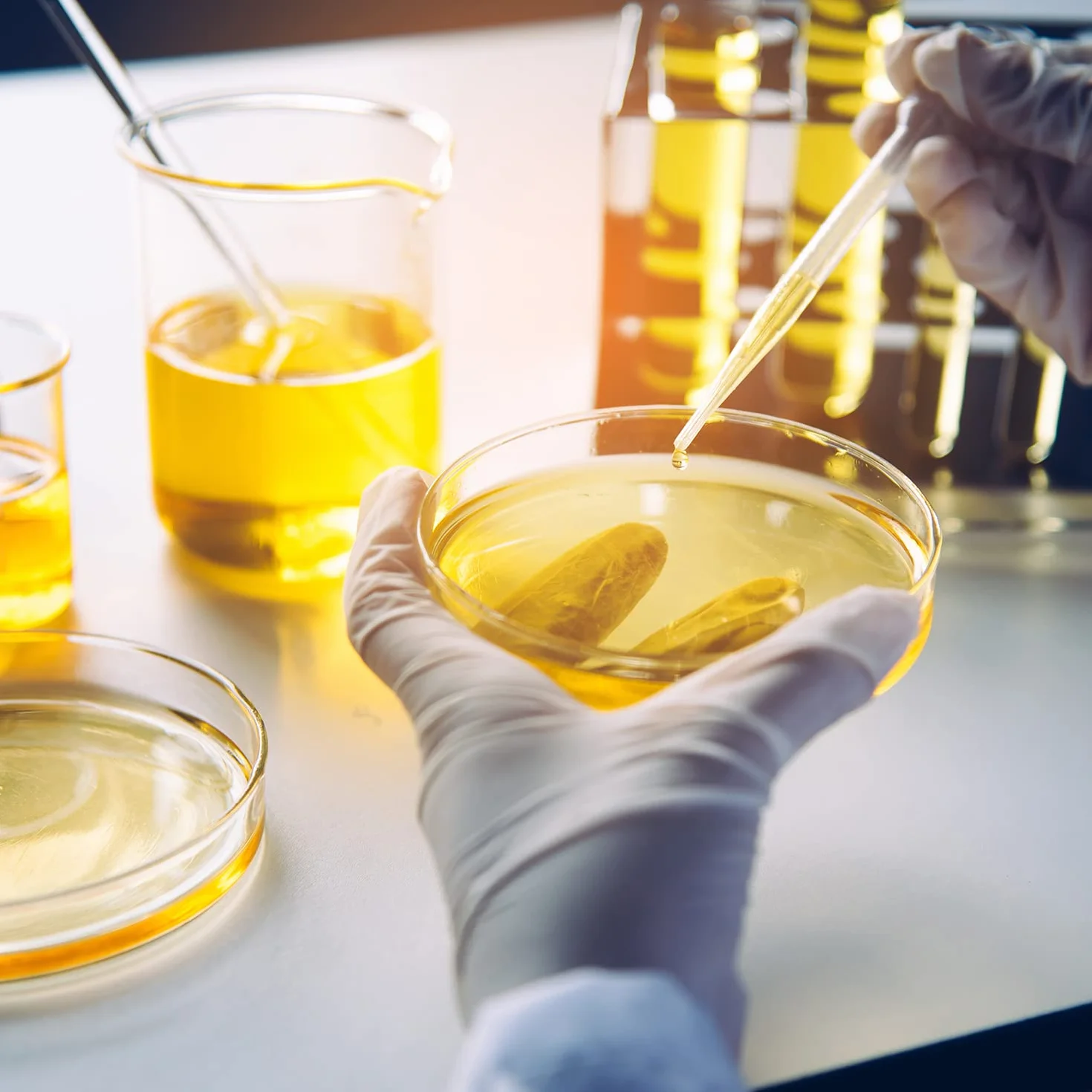 stonylab 10 szt. szklanych naczyń Petri, 90 x 20 mm, autoklawowalne naczynia ze szkła borokrzemowego do hodowli komórek naczynia Petri z przezroczystą pokrywką do laboratorium